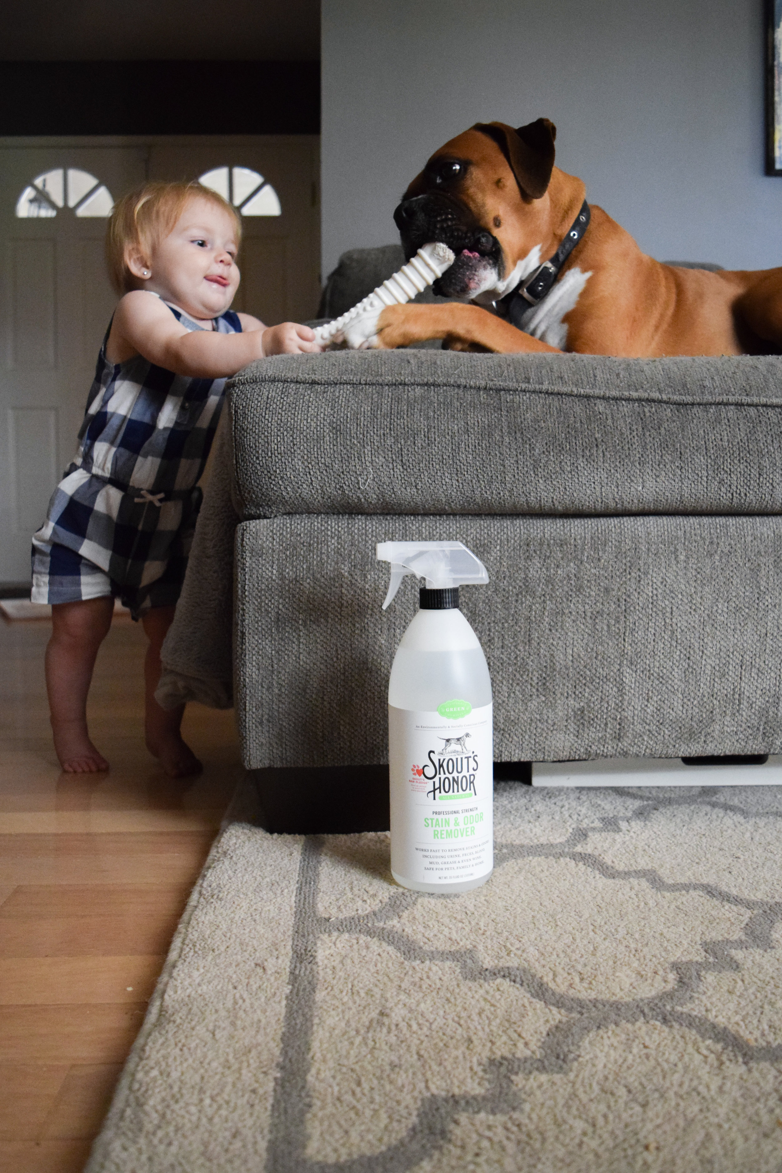 Skout's Honor - All Natural Pet Stain + Pet Odor Removal