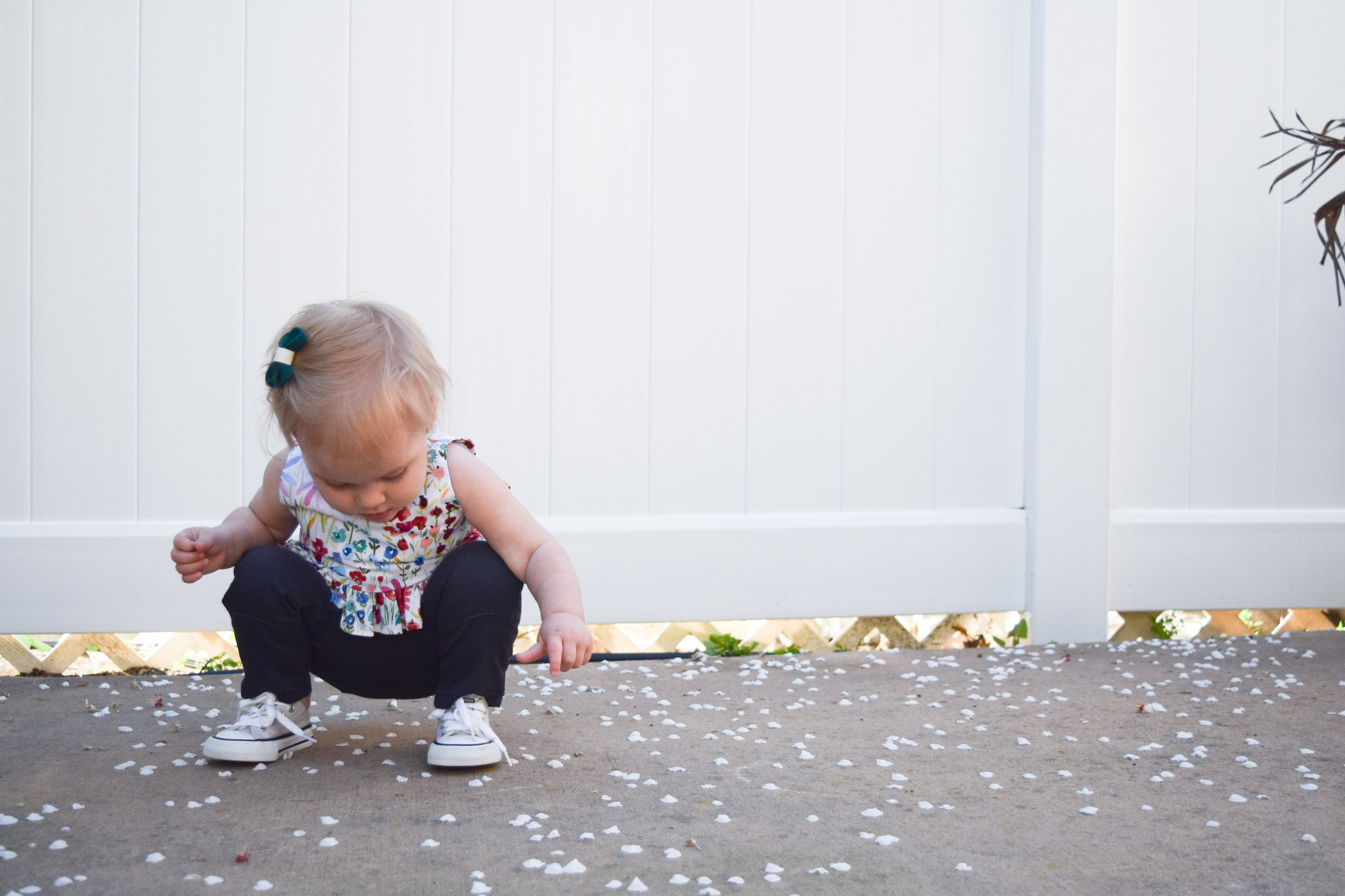 Baby Fashion - Baby Spring Floral Crop Top - Baby Converse - Baby Skinny Jeans