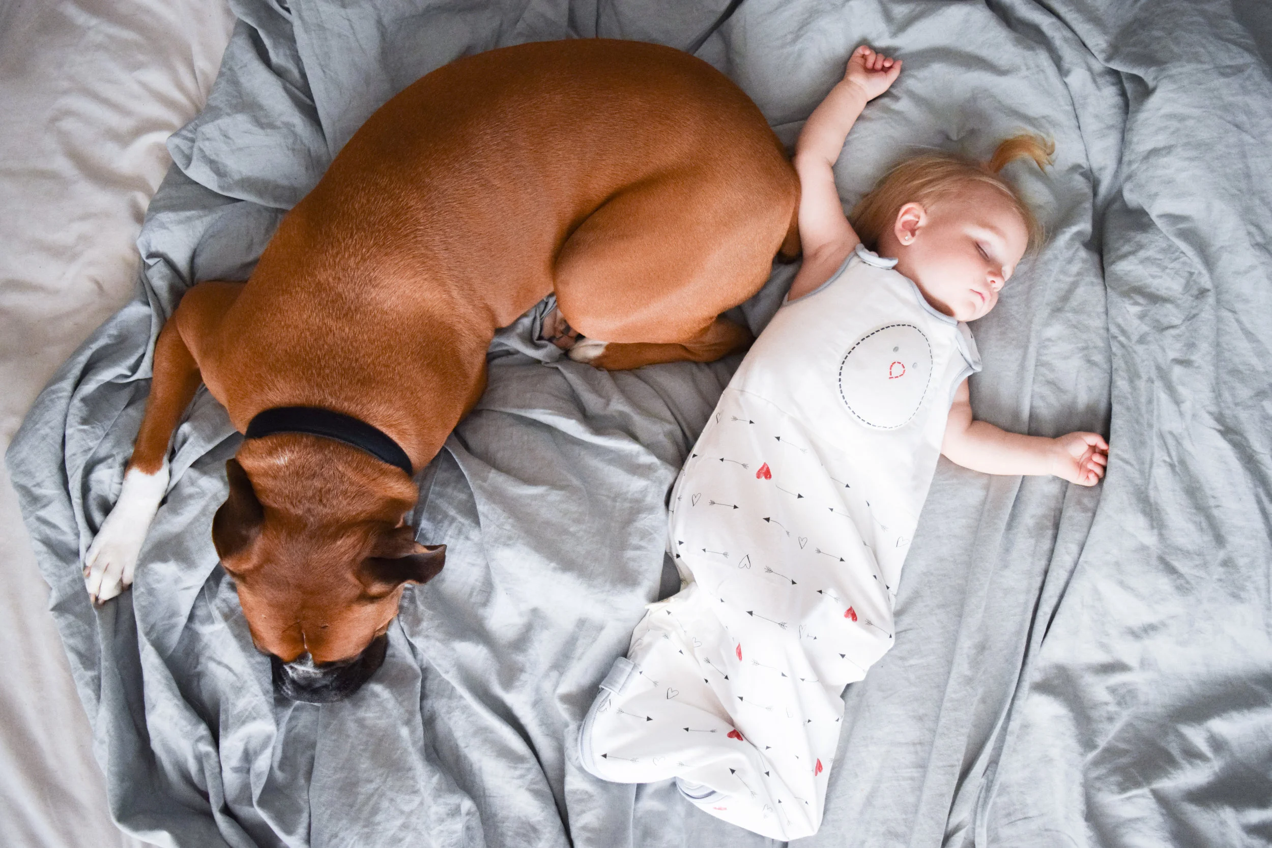 ZEN SACK | A baby sleep sack that mimics a mother's touch.