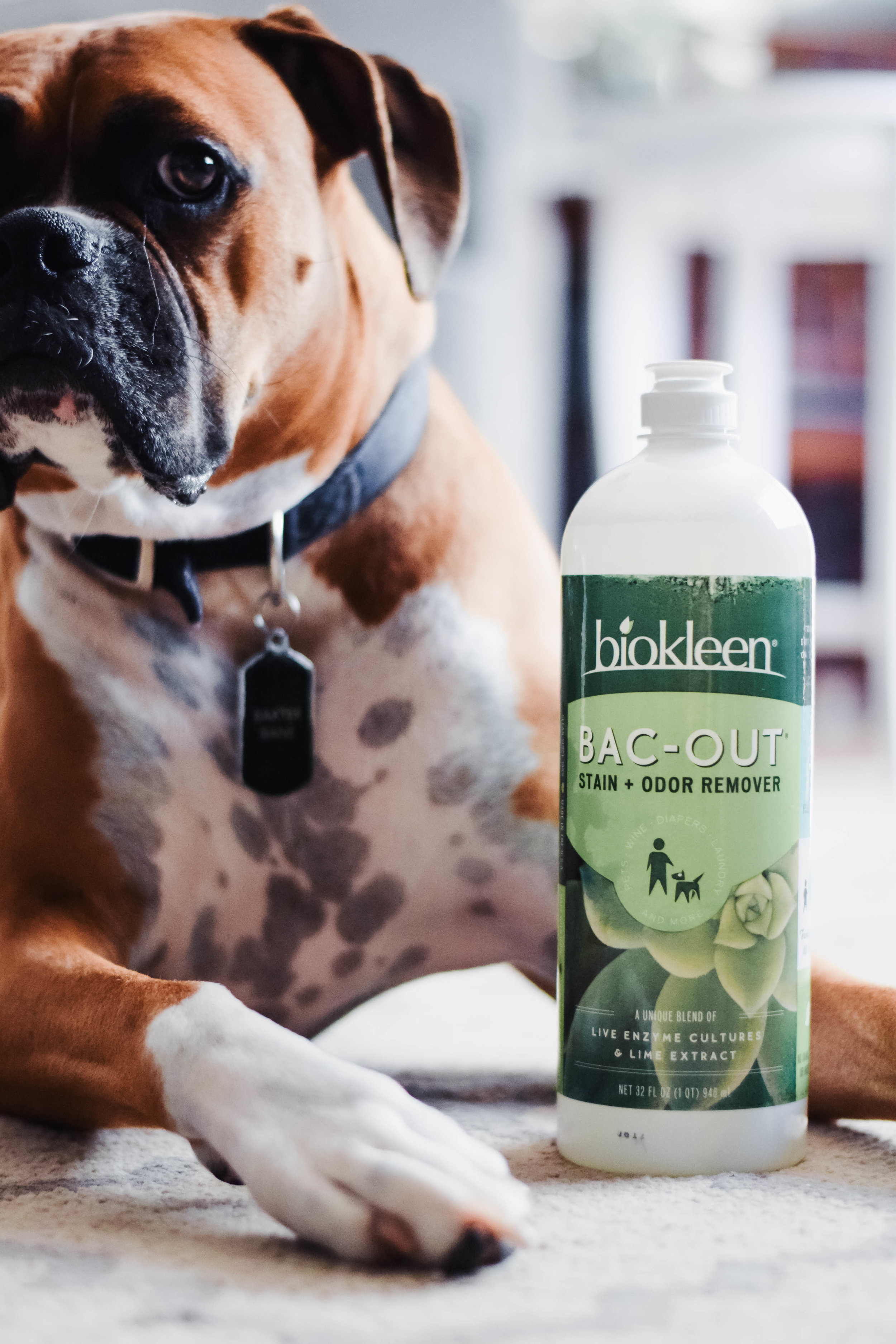 Biokleen  All Natural Eco-Friendly Cleaning Products — The Overwhelmed  Mommy Blog