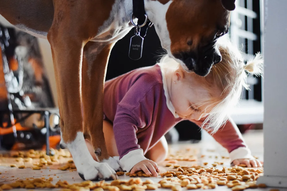 I Ve Been Doing Dog Food All Wrong The Overwhelmed Mommy