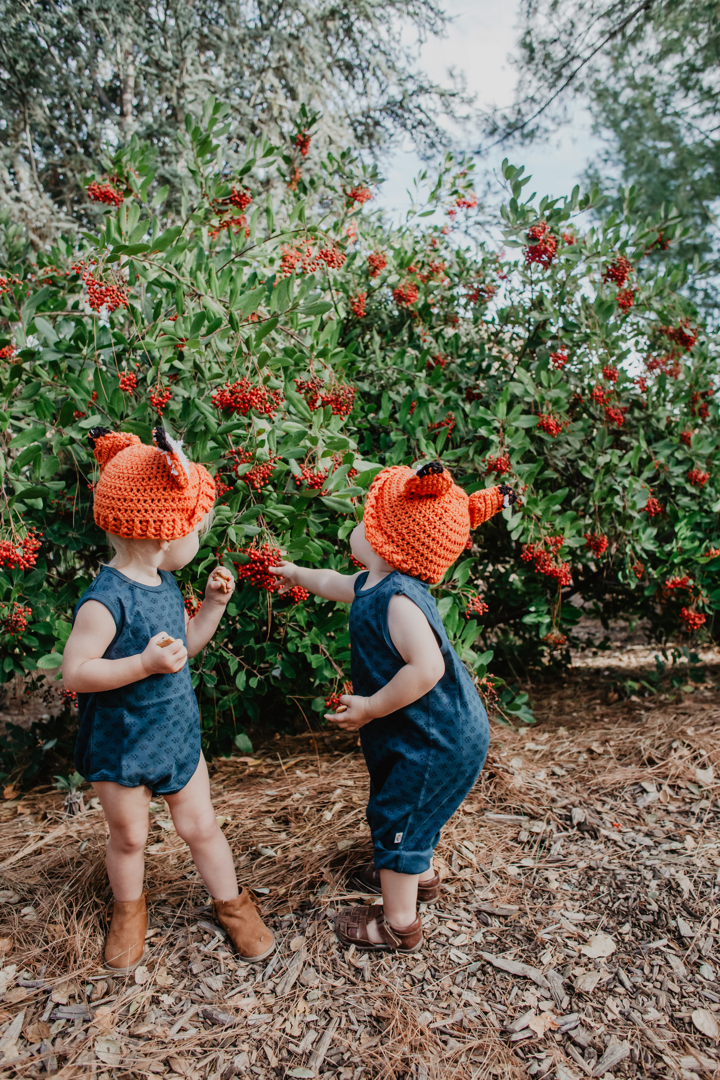 Baby Fox Beanies - Knit Kids Fox Hat - Baby Halloween Costume Ideas -- Mommy Blogger-Vlogger-The Overwhelmed Mommy