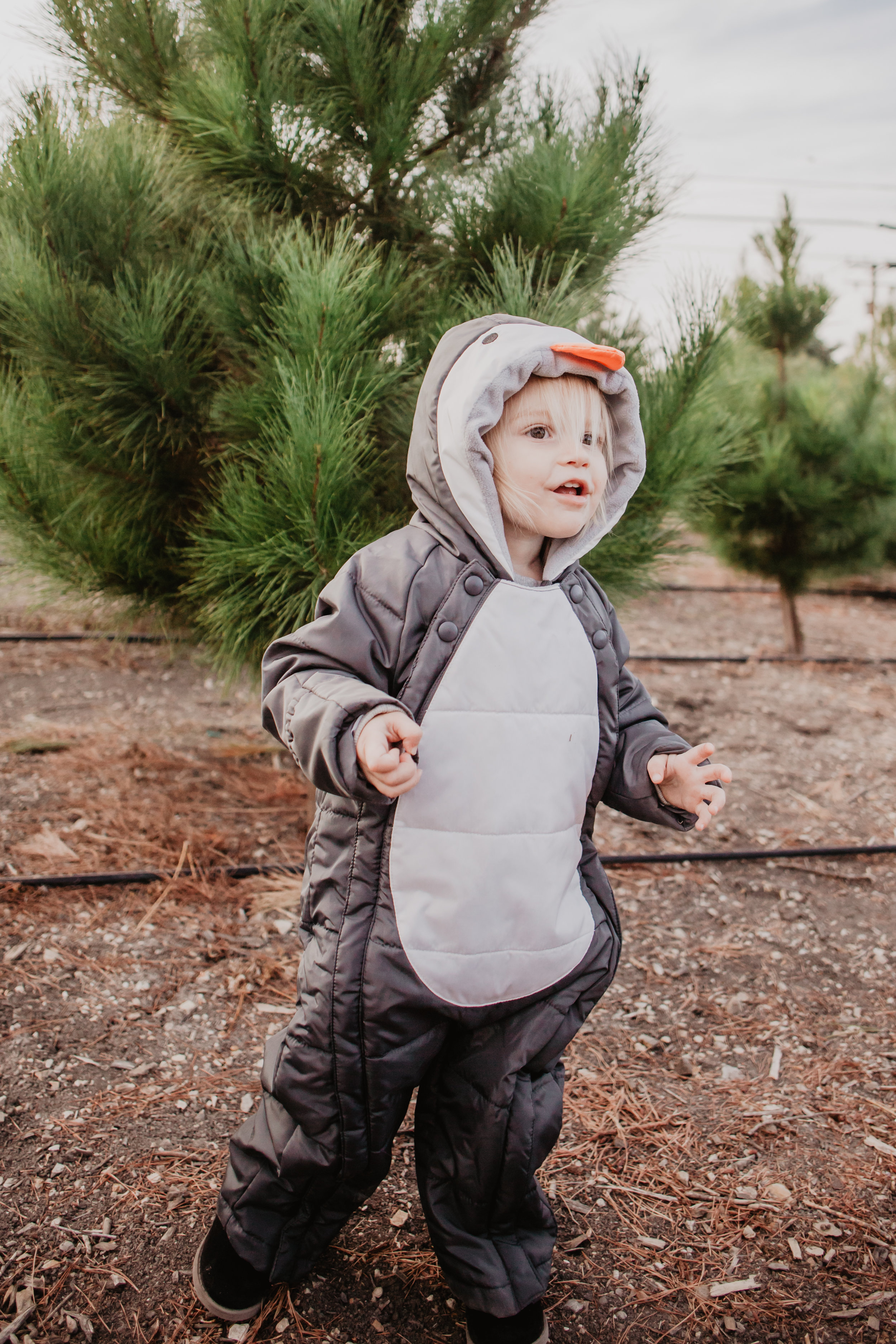 Baby-Kids Penguin Snowsuits-Costumes - Marks & Spencer -- Mommy Blogger-Vlogger - The Overwhelmed Mommy
