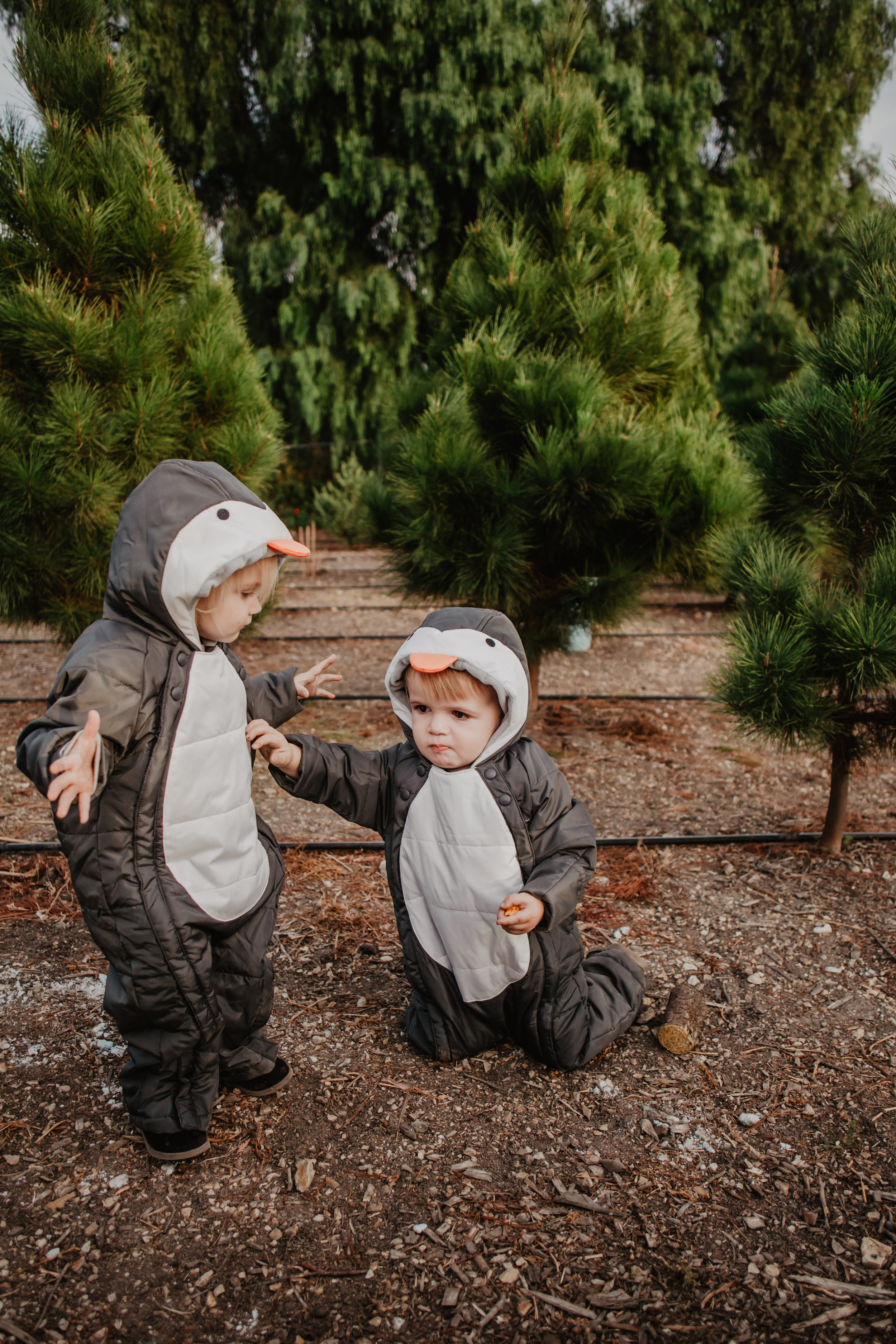 Baby-Kids Penguin Snowsuits-Costumes - Marks & Spencer -- Mommy Blogger-Vlogger - The Overwhelmed Mommy