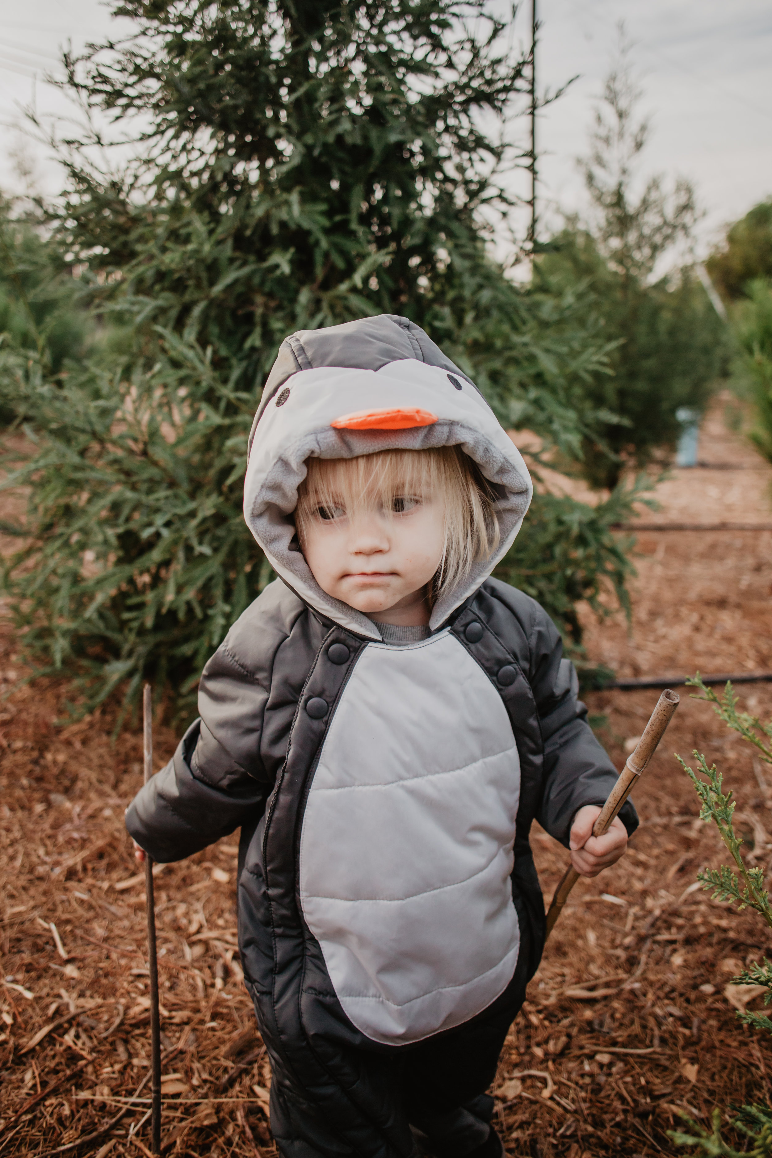 Baby-Kids Penguin Snowsuits-Costumes - Marks & Spencer -- Mommy Blogger-Vlogger - The Overwhelmed Mommy