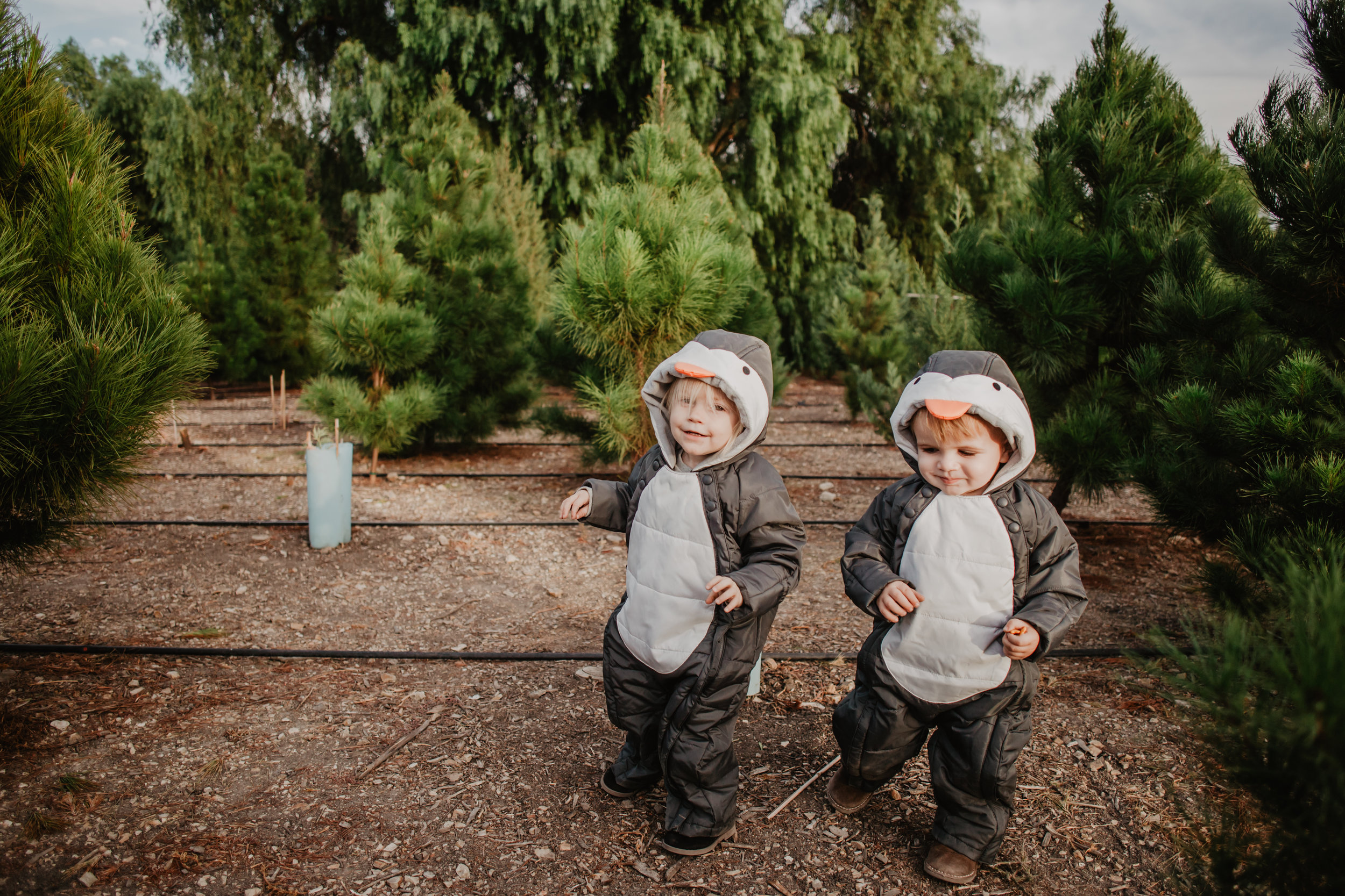 Baby-Kids Penguin Snowsuits-Costumes - Marks & Spencer -- Mommy Blogger-Vlogger - The Overwhelmed Mommy