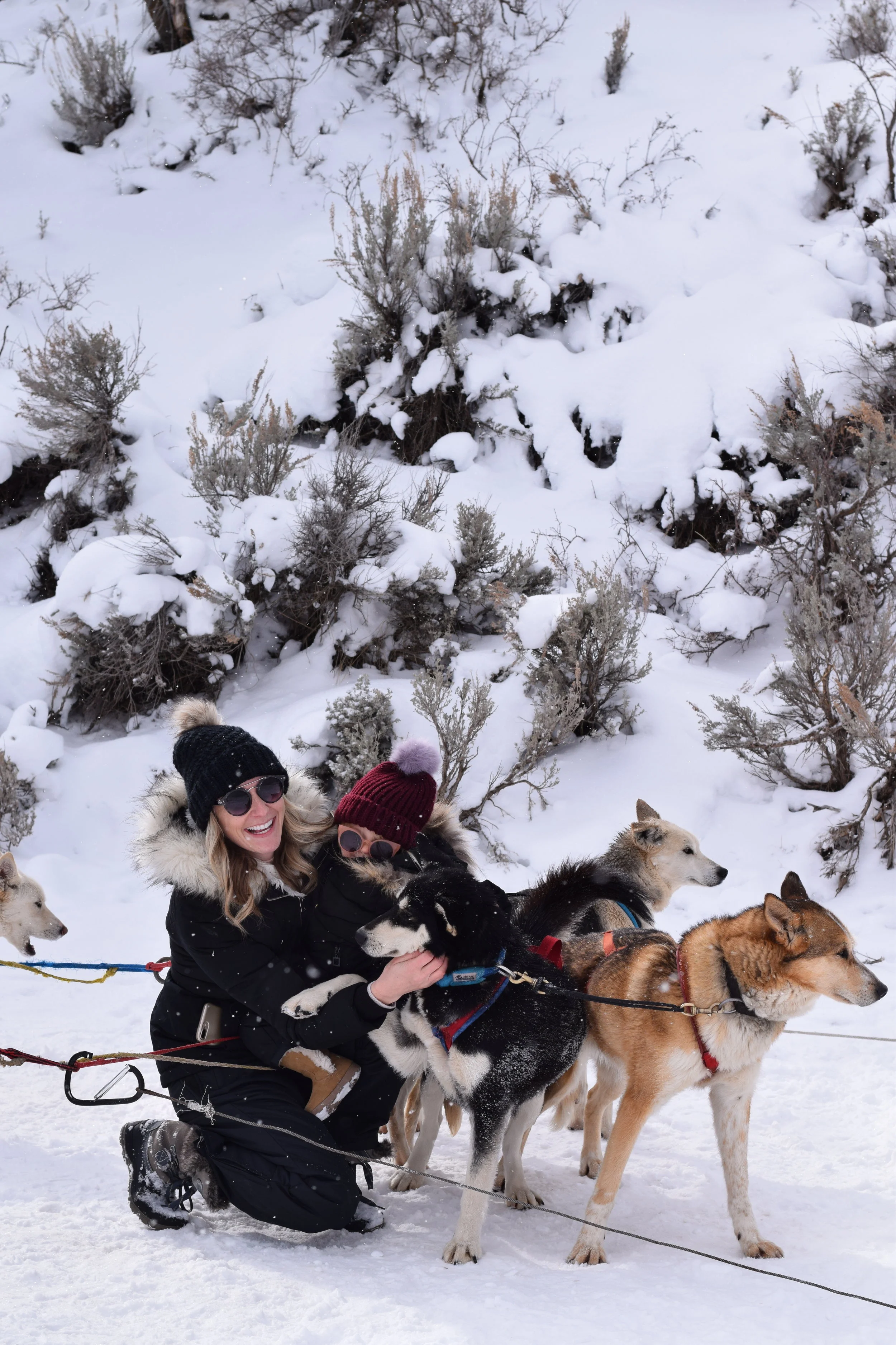 Utah Winter Travel Guide [for families with kids]