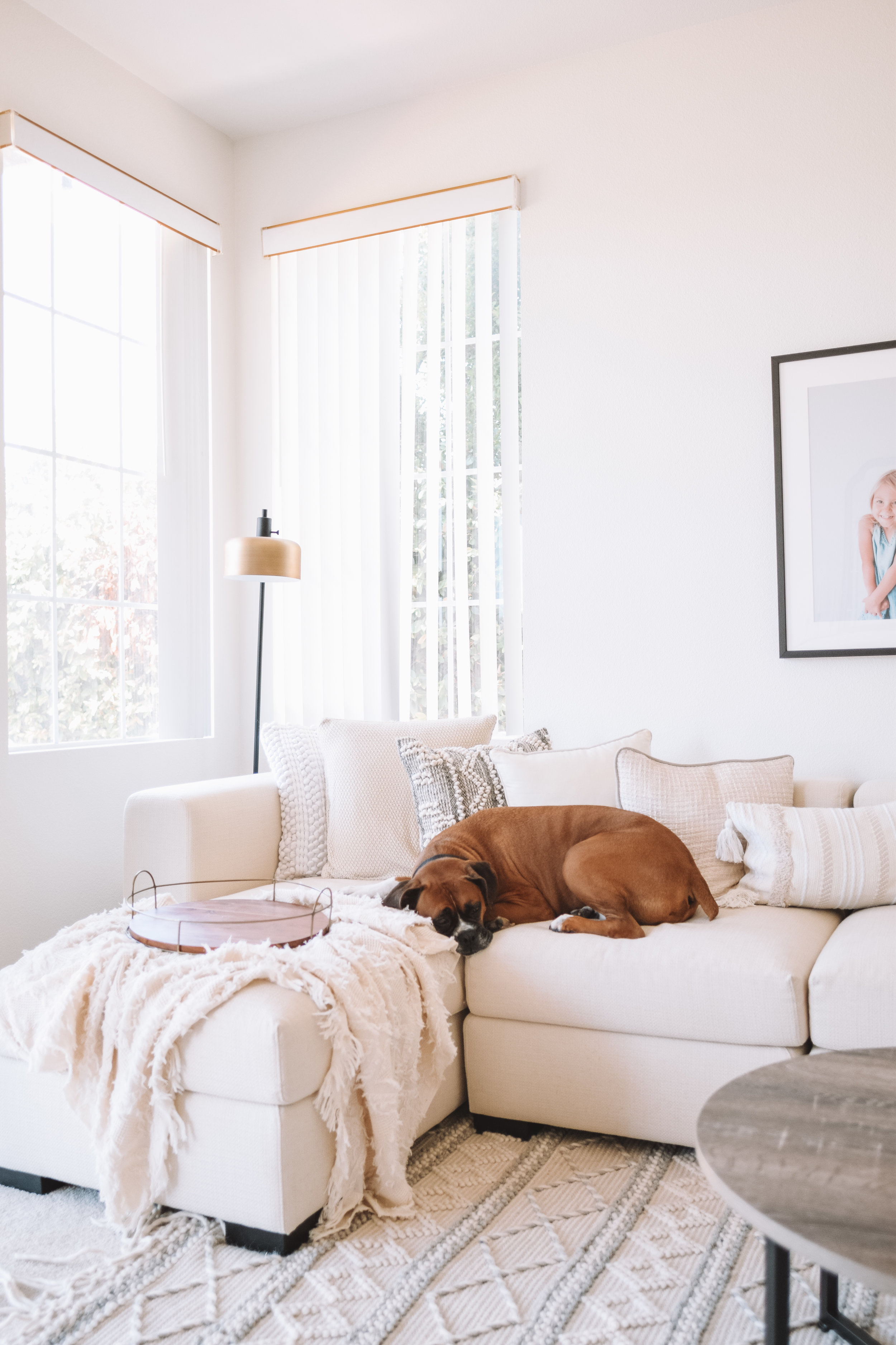 White Living Rooms Ivory Walls