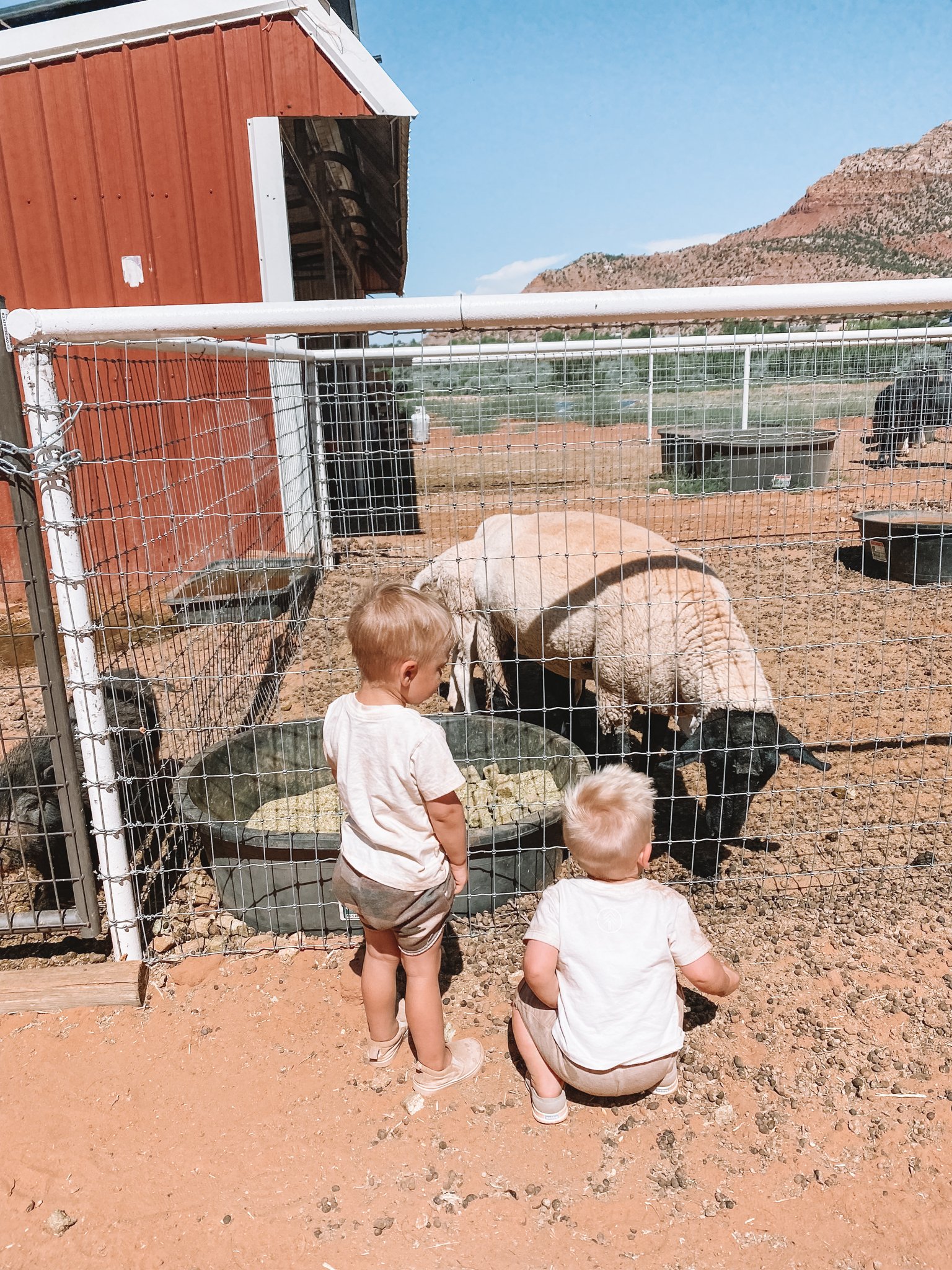 Zion View Campground Glamping with Kids - Southern Utah Kid Friendly Vacations