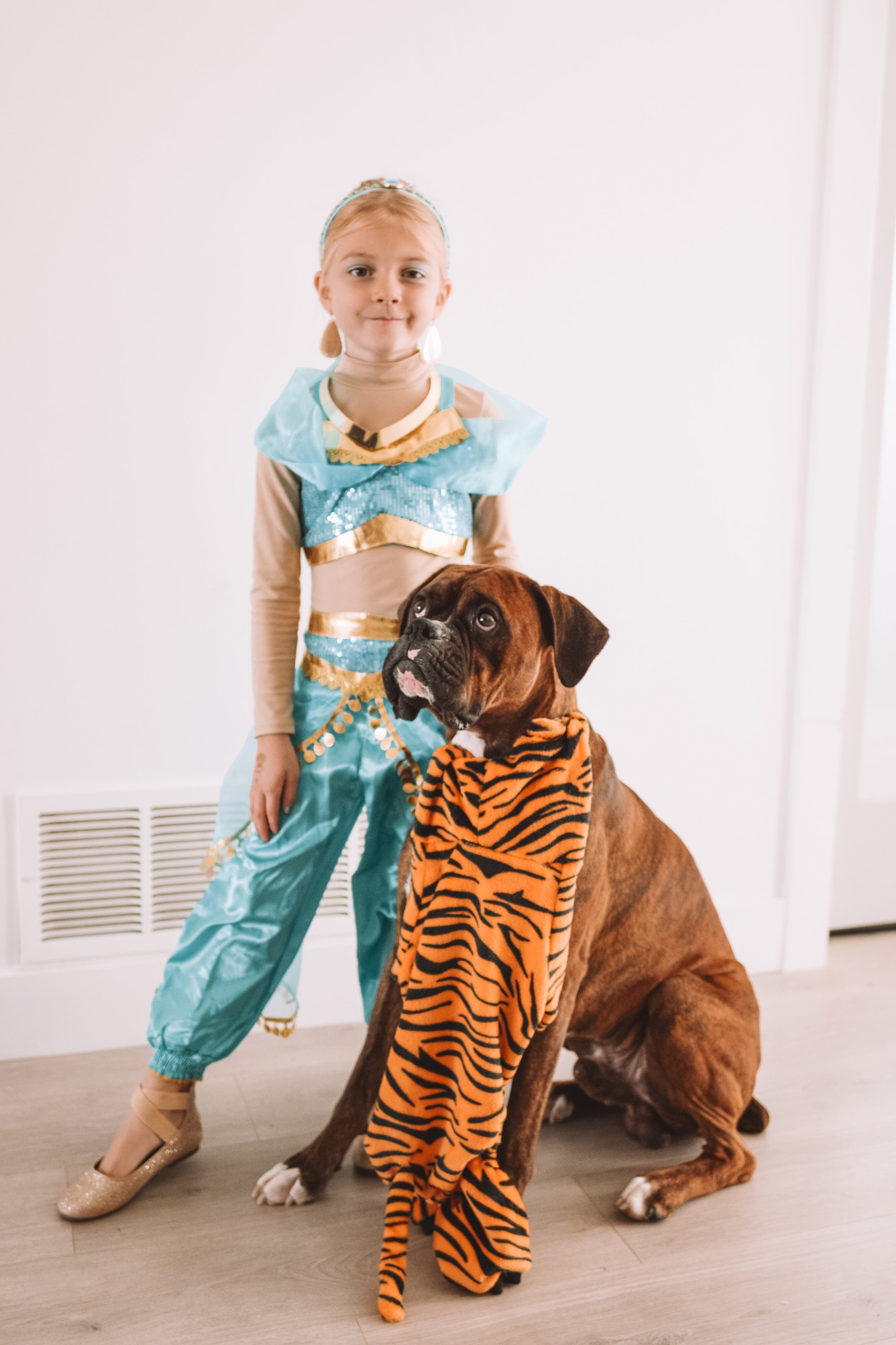Family Halloween Costumes - Kids Jasmine Costume + Dog Tiger Costume