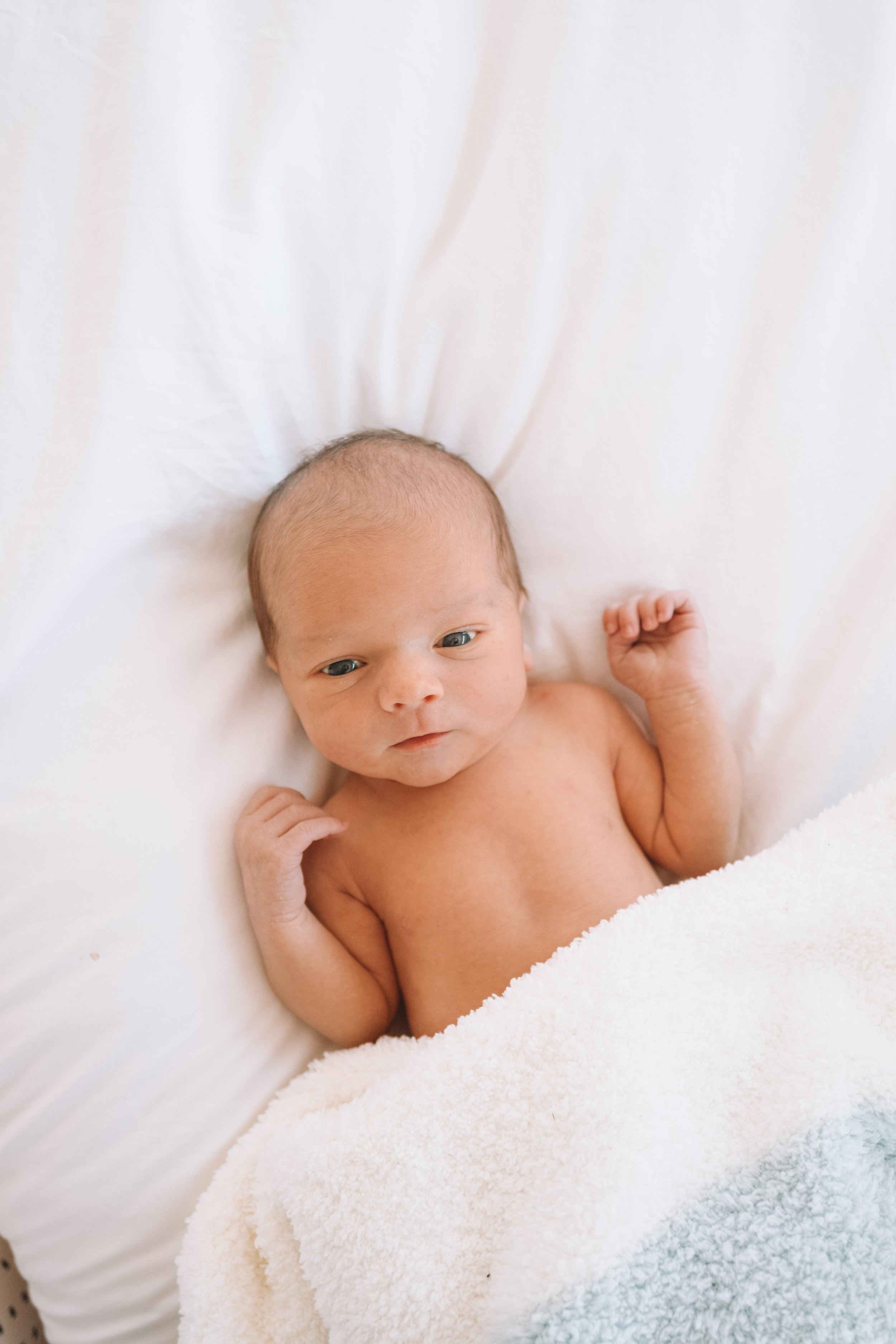 Macallen Jackson Hallak - Newborn Photos