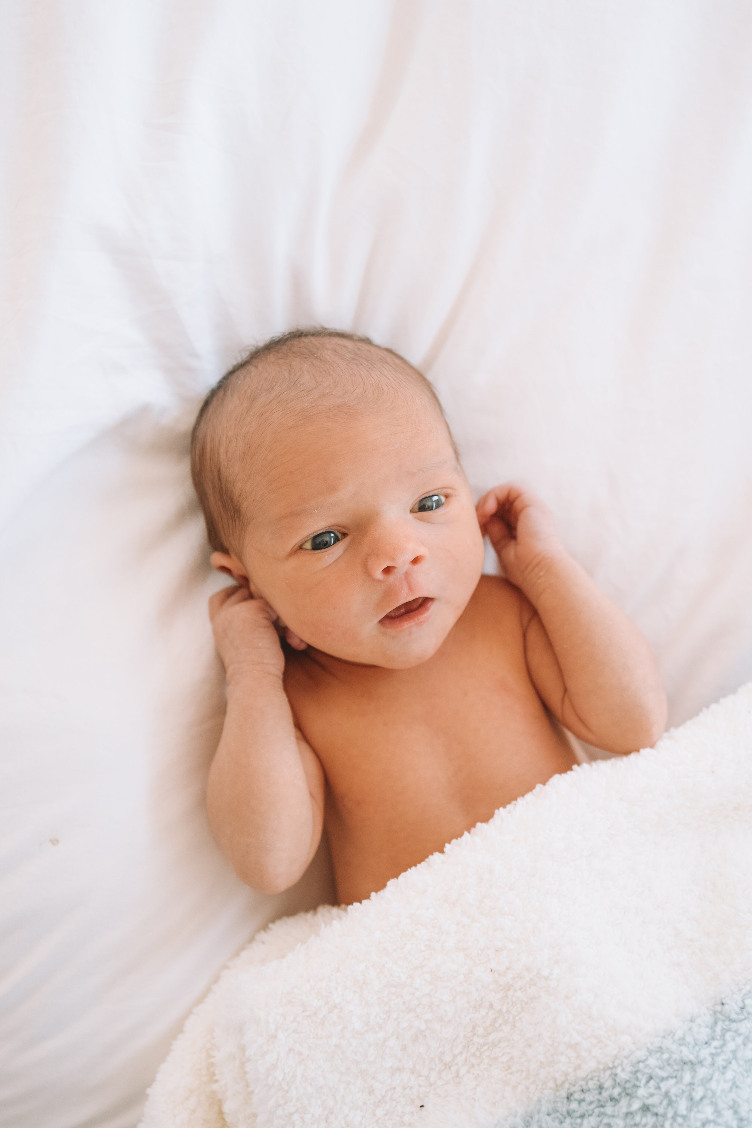 Macallen Jackson Hallak - Newborn Photos