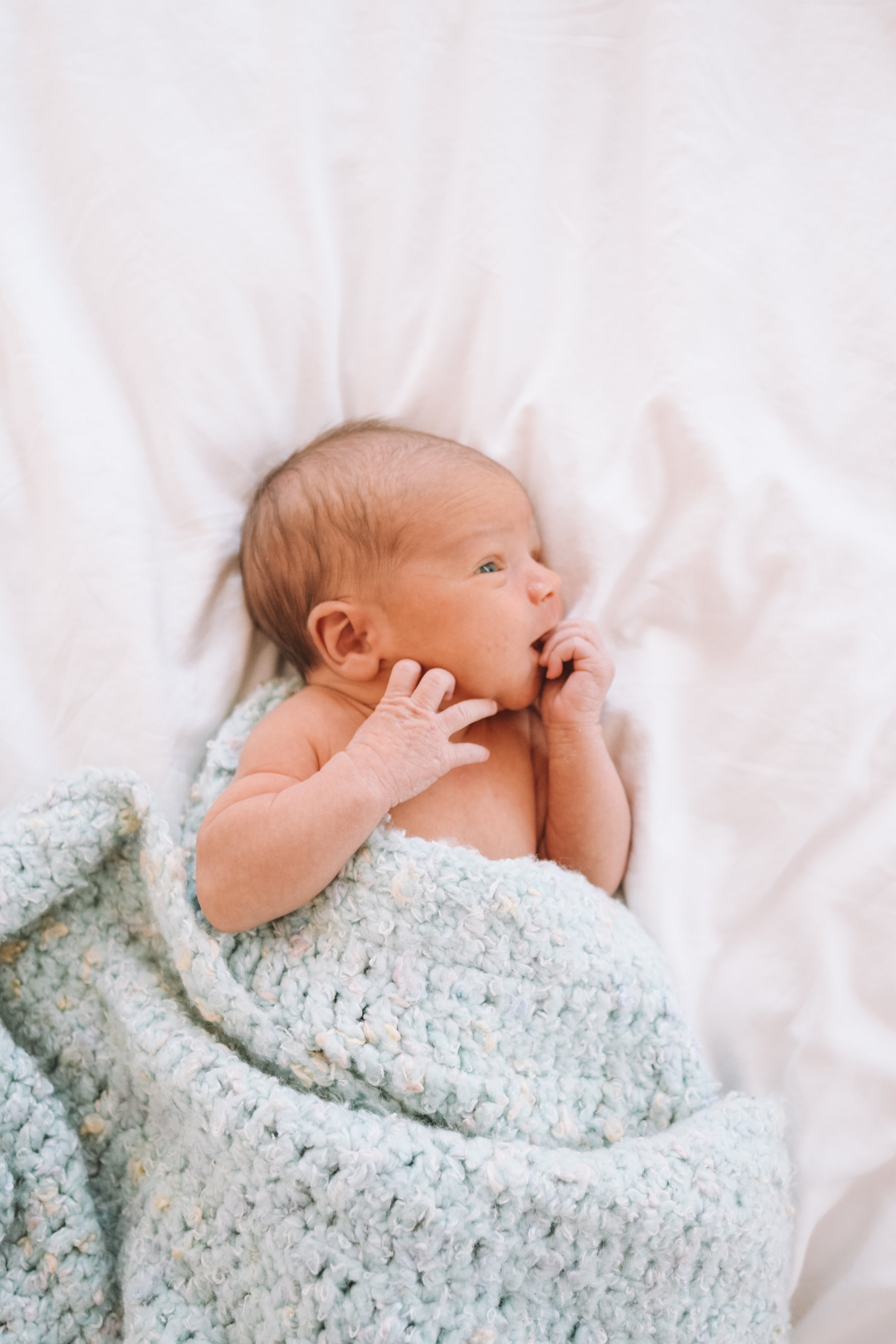 Macallen Jackson Hallak - Newborn Photos