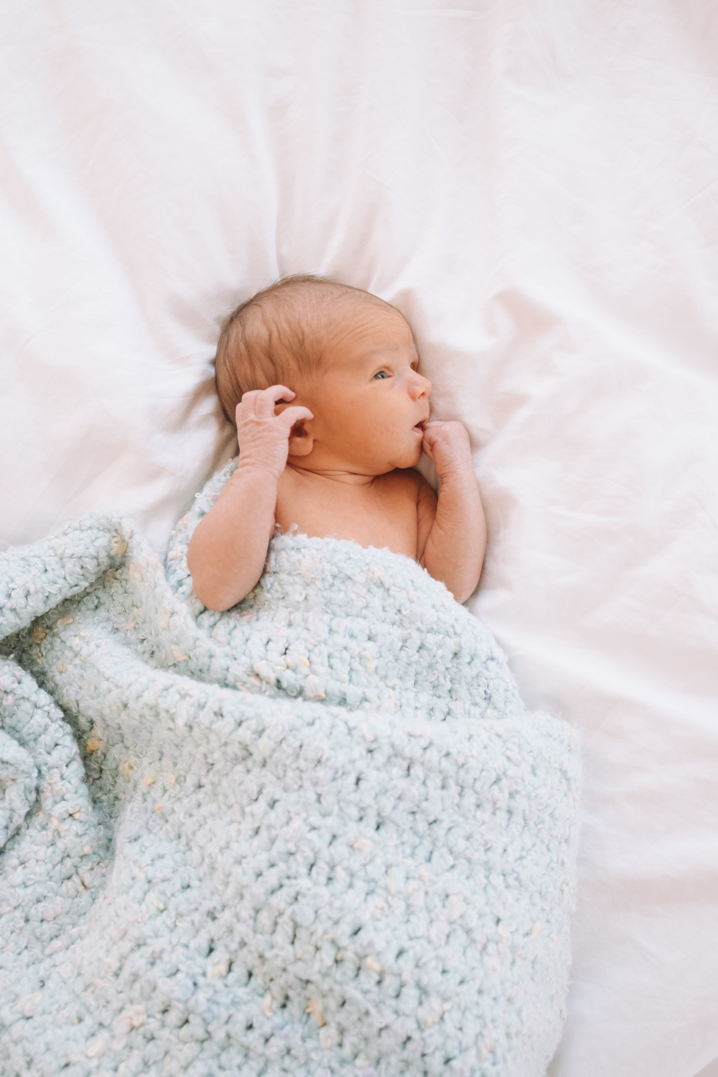 Macallen Jackson Hallak - Newborn Photos
