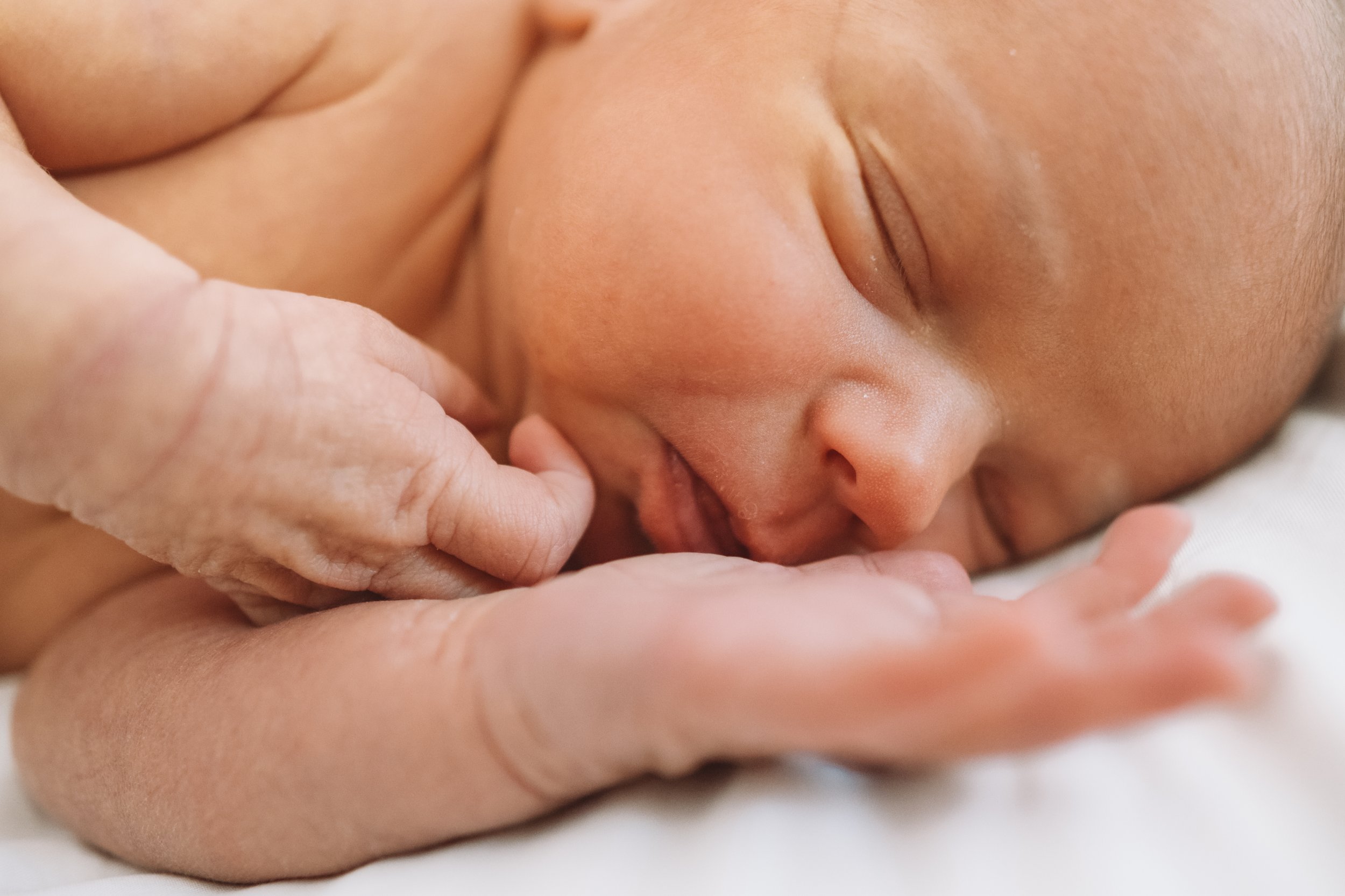 Macallen Jackson Hallak - Newborn Photos