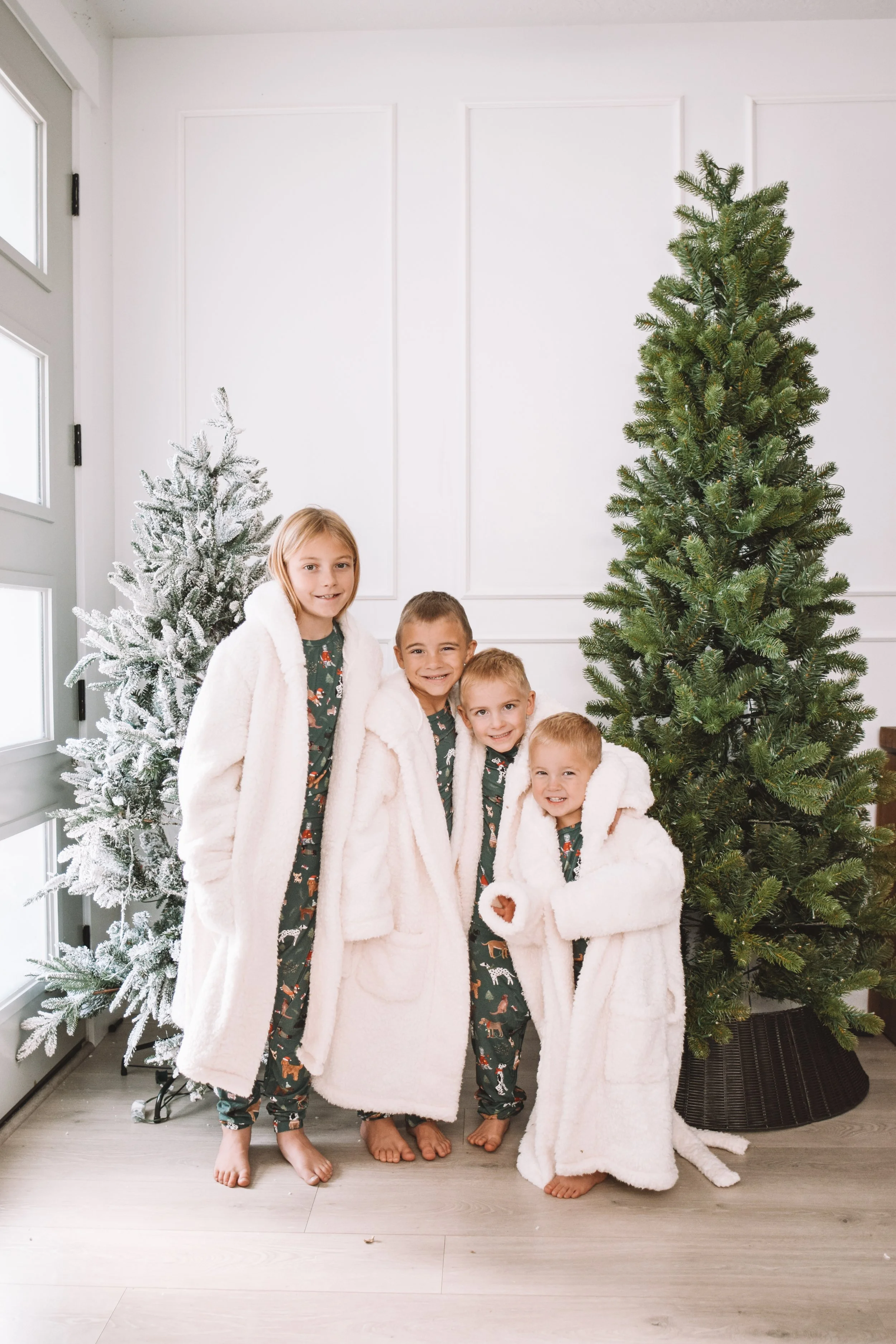 Matching Family Dog Print Christmas Pajamas Green with White Robes