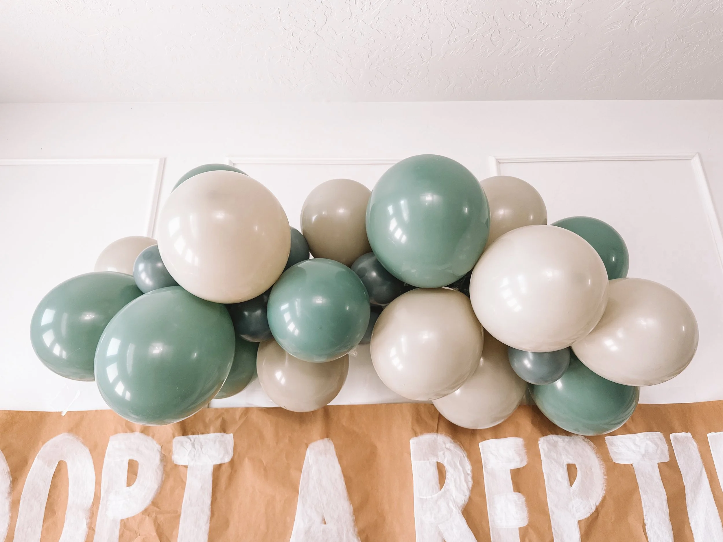 Adopt A Reptile Party Favor Station