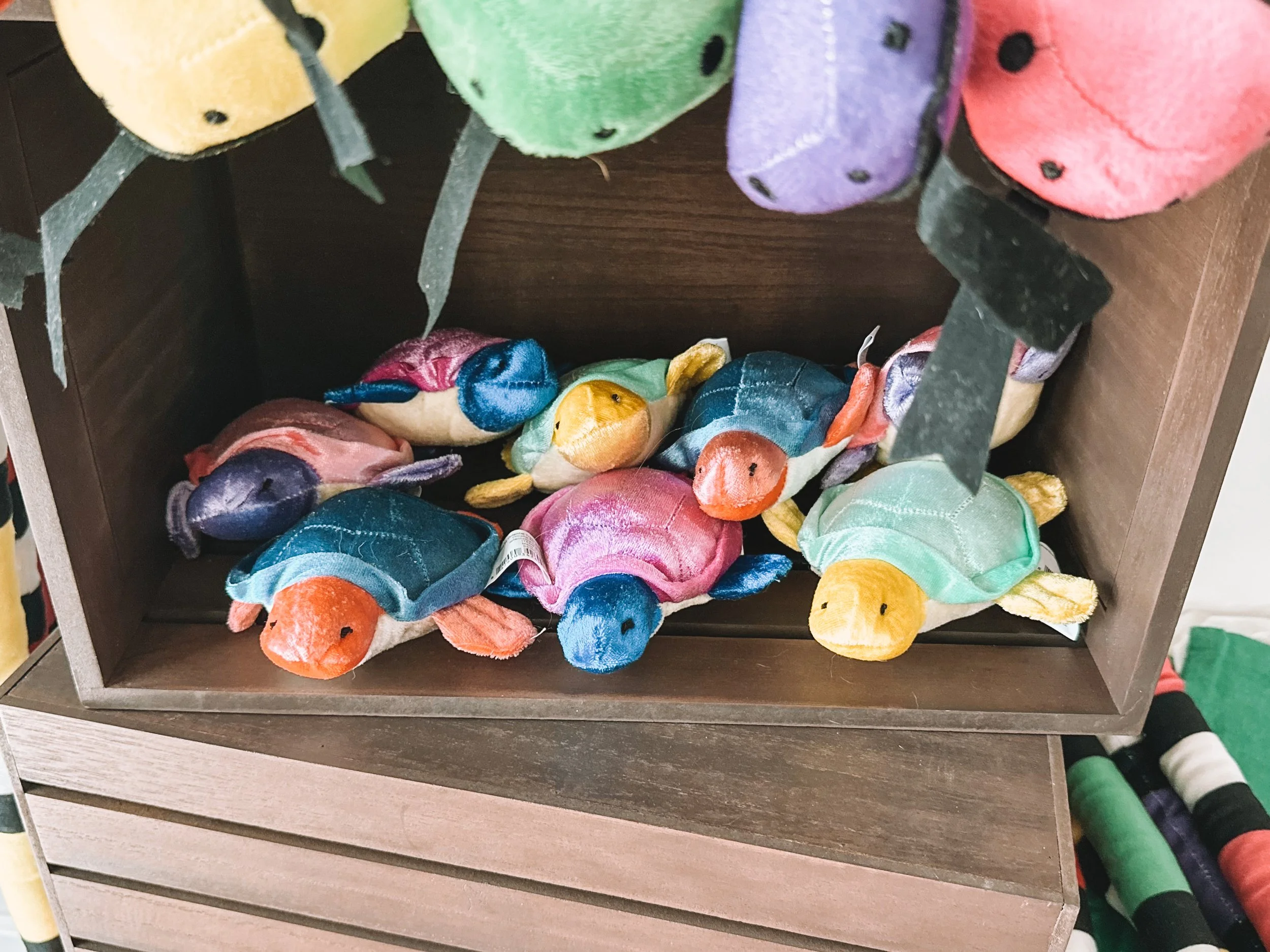 Reptile Birthday Party Favor Ideas