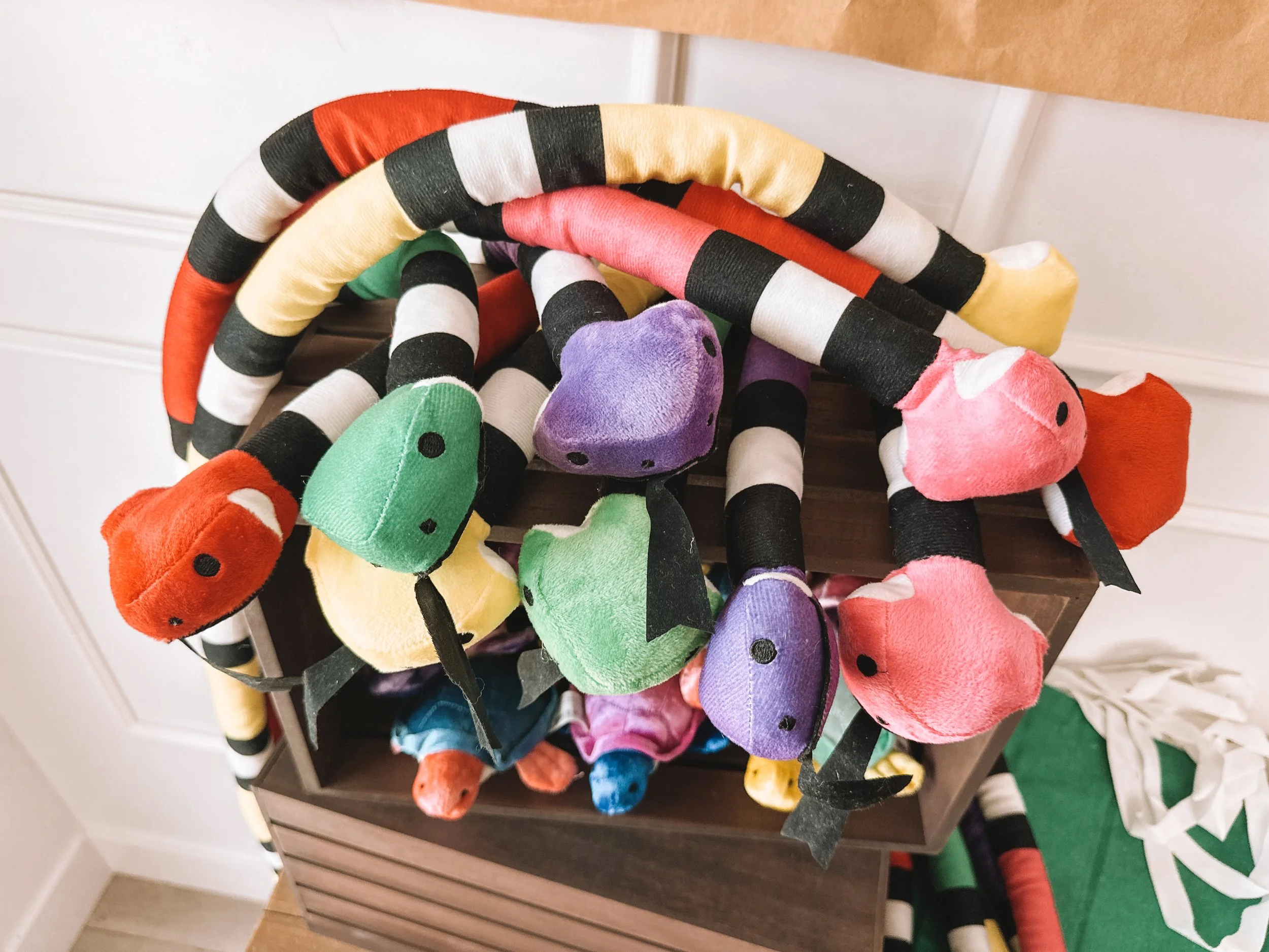 Reptile Birthday Party Favor Ideas