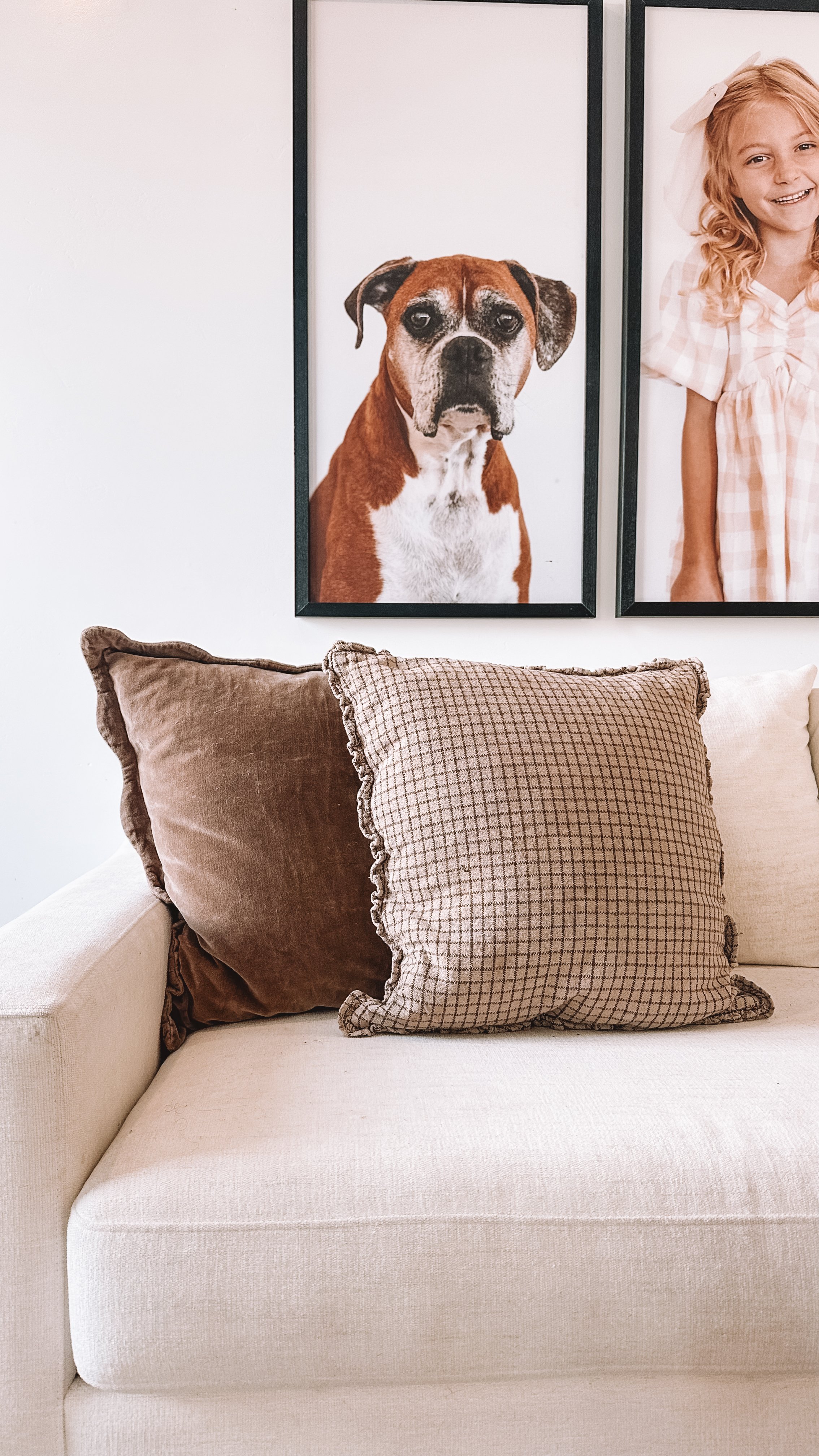 Fall Throw Pillows On A Cream Sofa