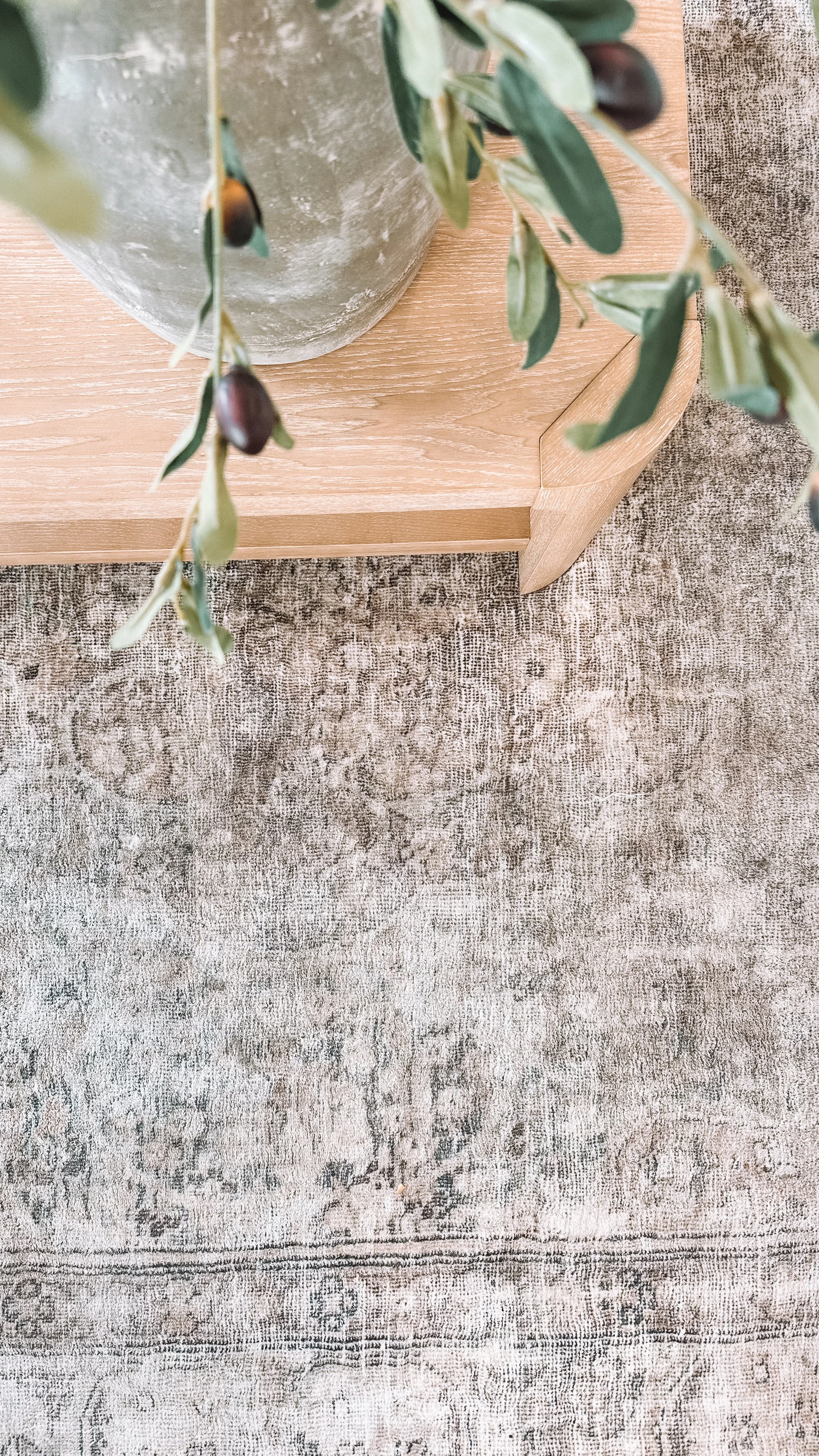 Soft Vintage Style Area Rug