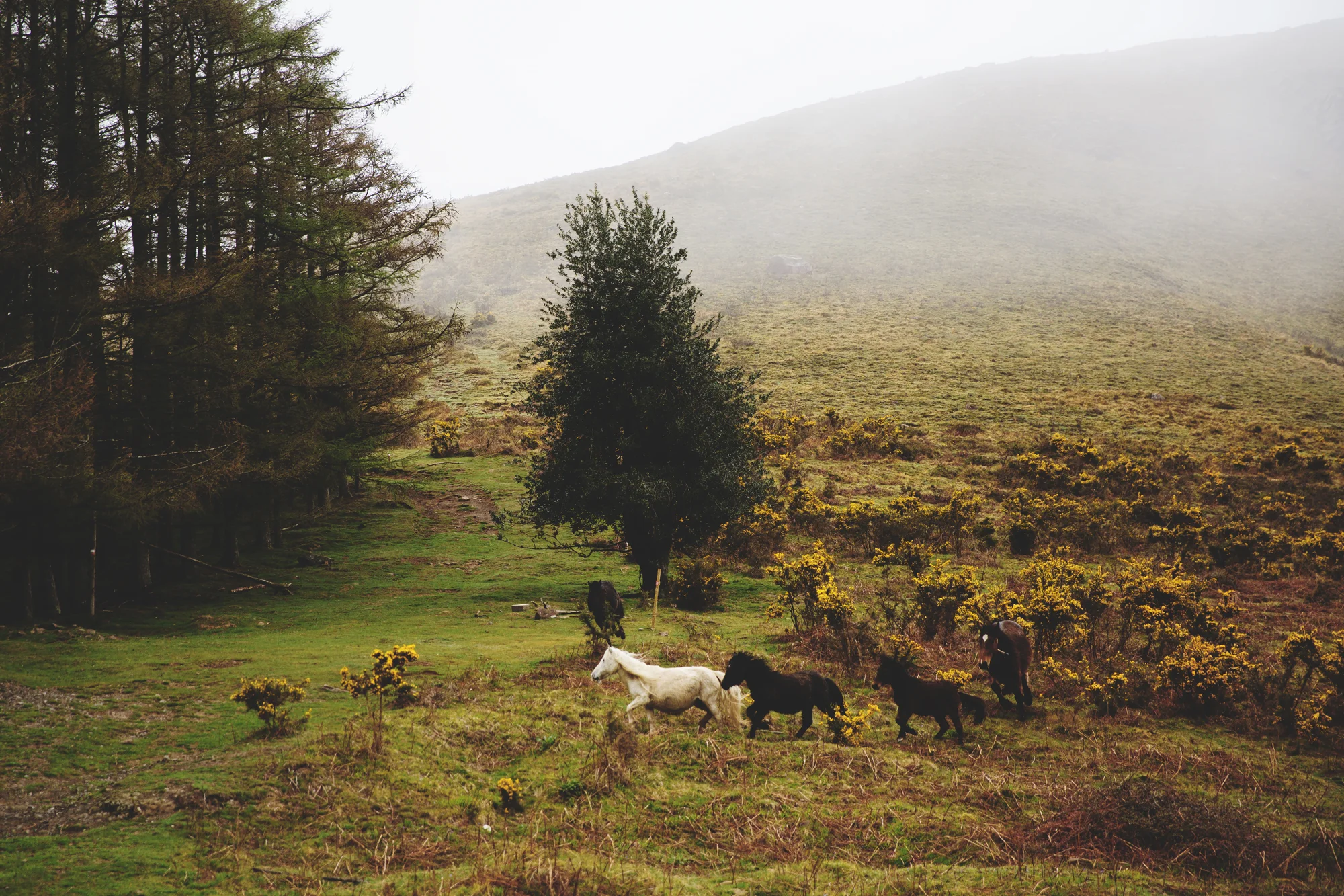 Basque Country