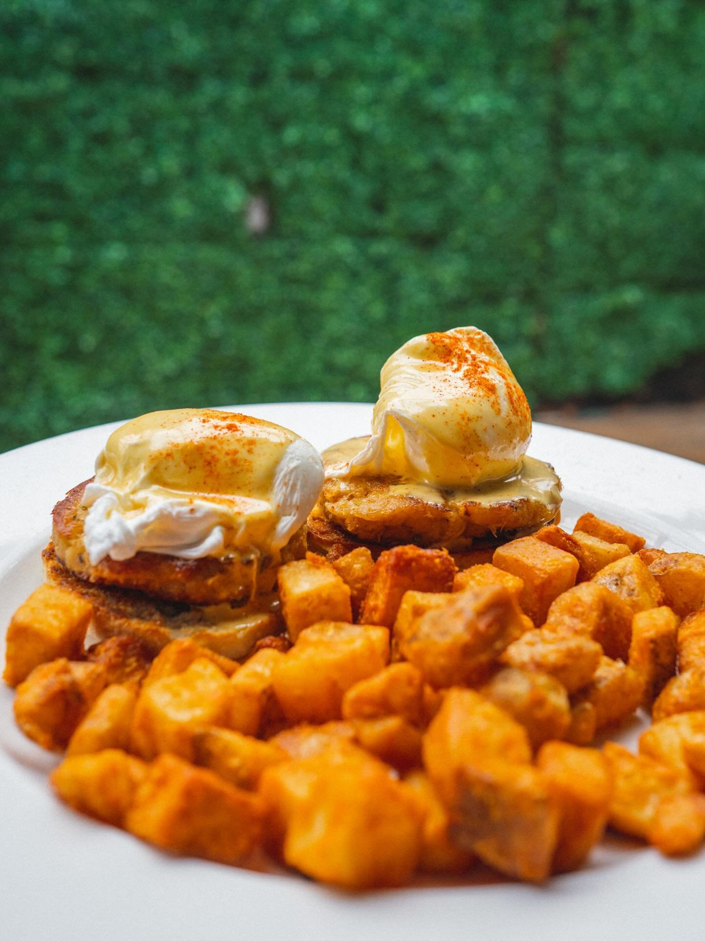 Easter Sunday Brunch is tomorrow! We have extremely limited reservations left 🐰 

Specials:
Crab Cake Eggs Benedict
Peep Tini
Easter Bunny Punch

See you tomorrow! 🍳 

#stlbrunch #easter #eastersunday