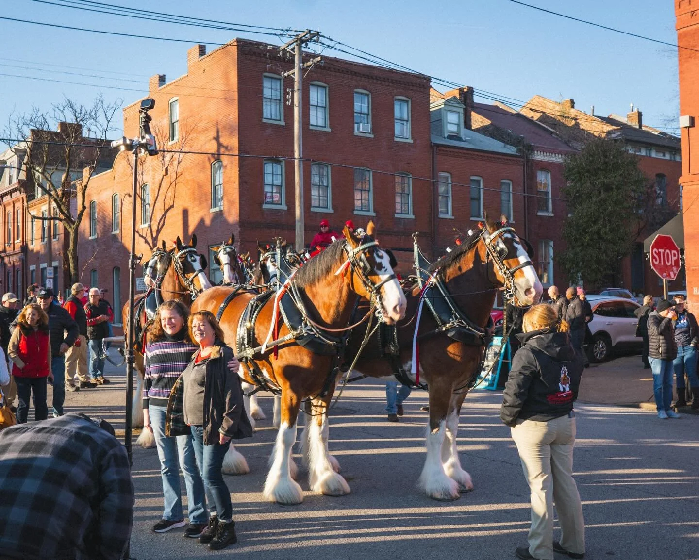 Come see us tomorrow 5/15 for @anheuserbusch 150 year anniversary! 🍻 

Catch the Clydesdales walking by at 4:10pm!

#stl #soulardevents #stlclydesdales