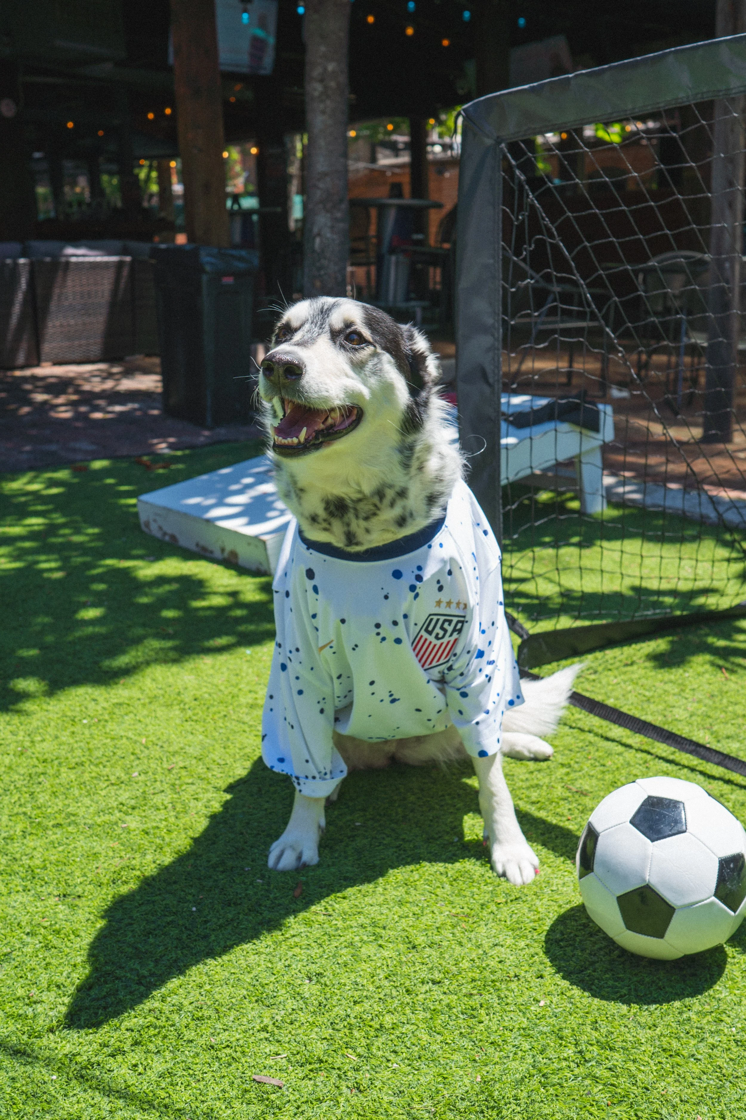 Fifa World Cup Watch Parties