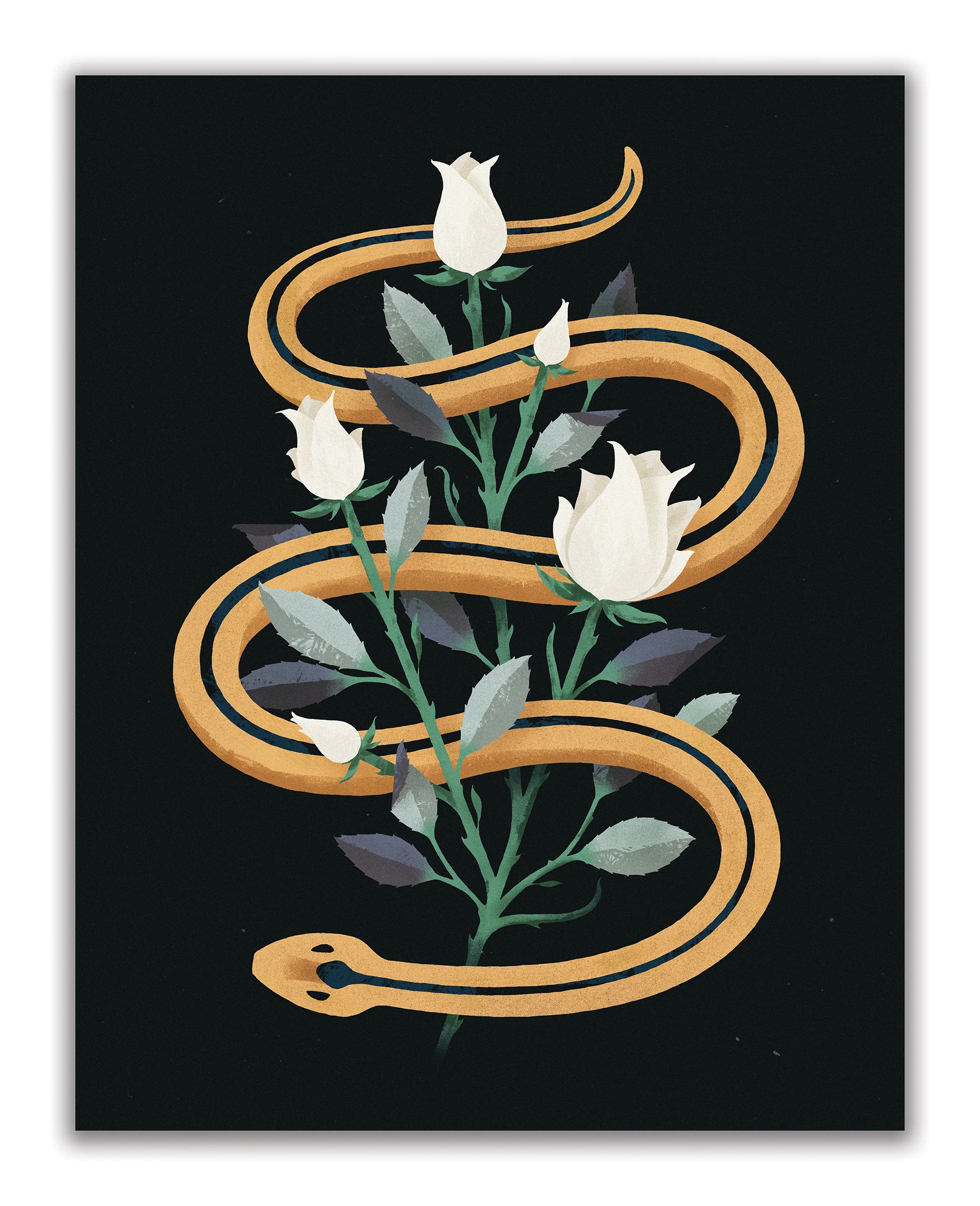 snake_print.jpg
