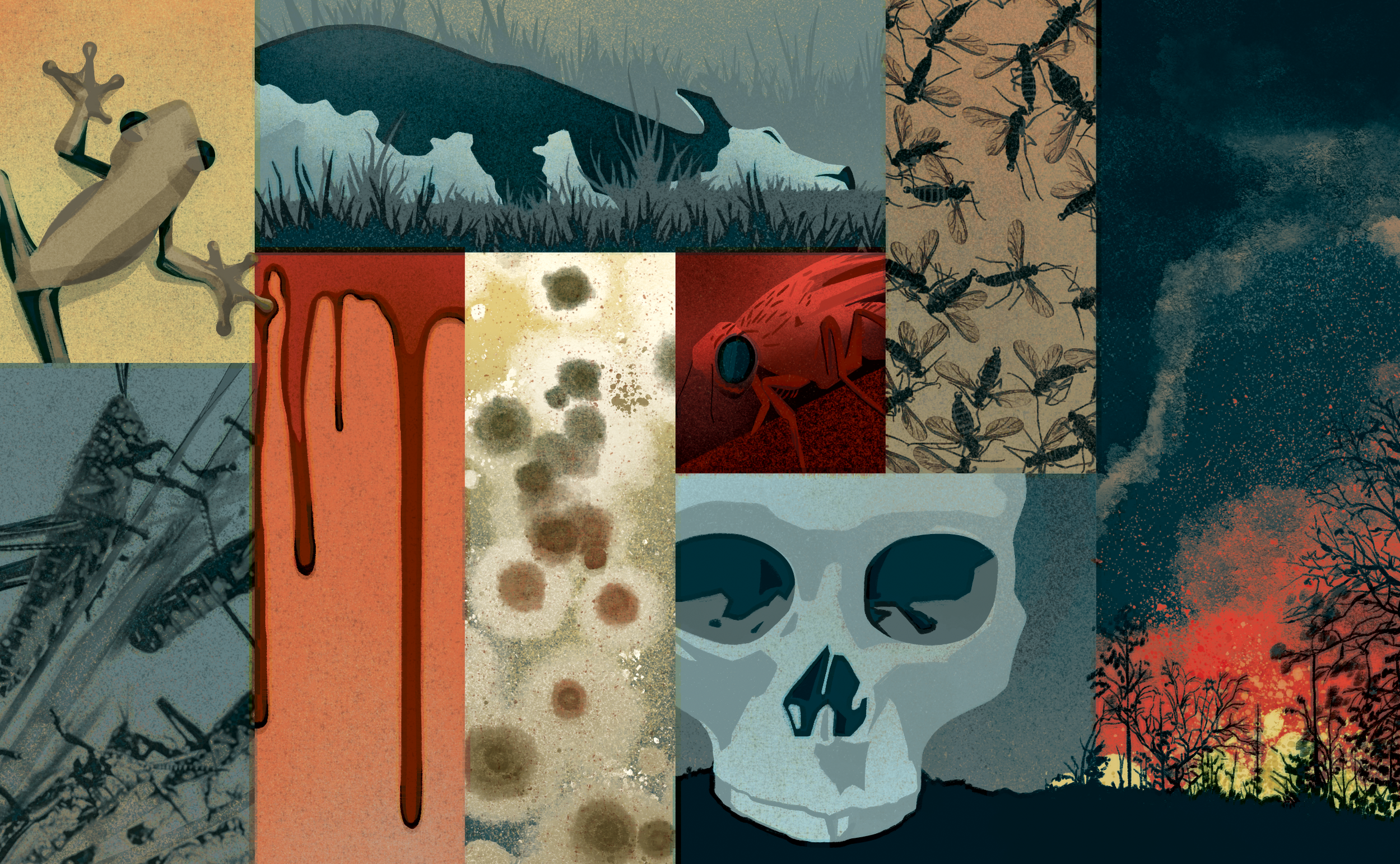 plagues_final.png