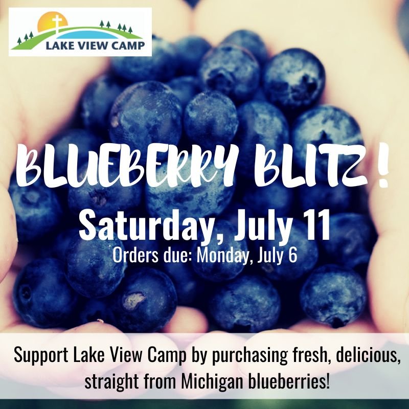Blueberry Blitz!