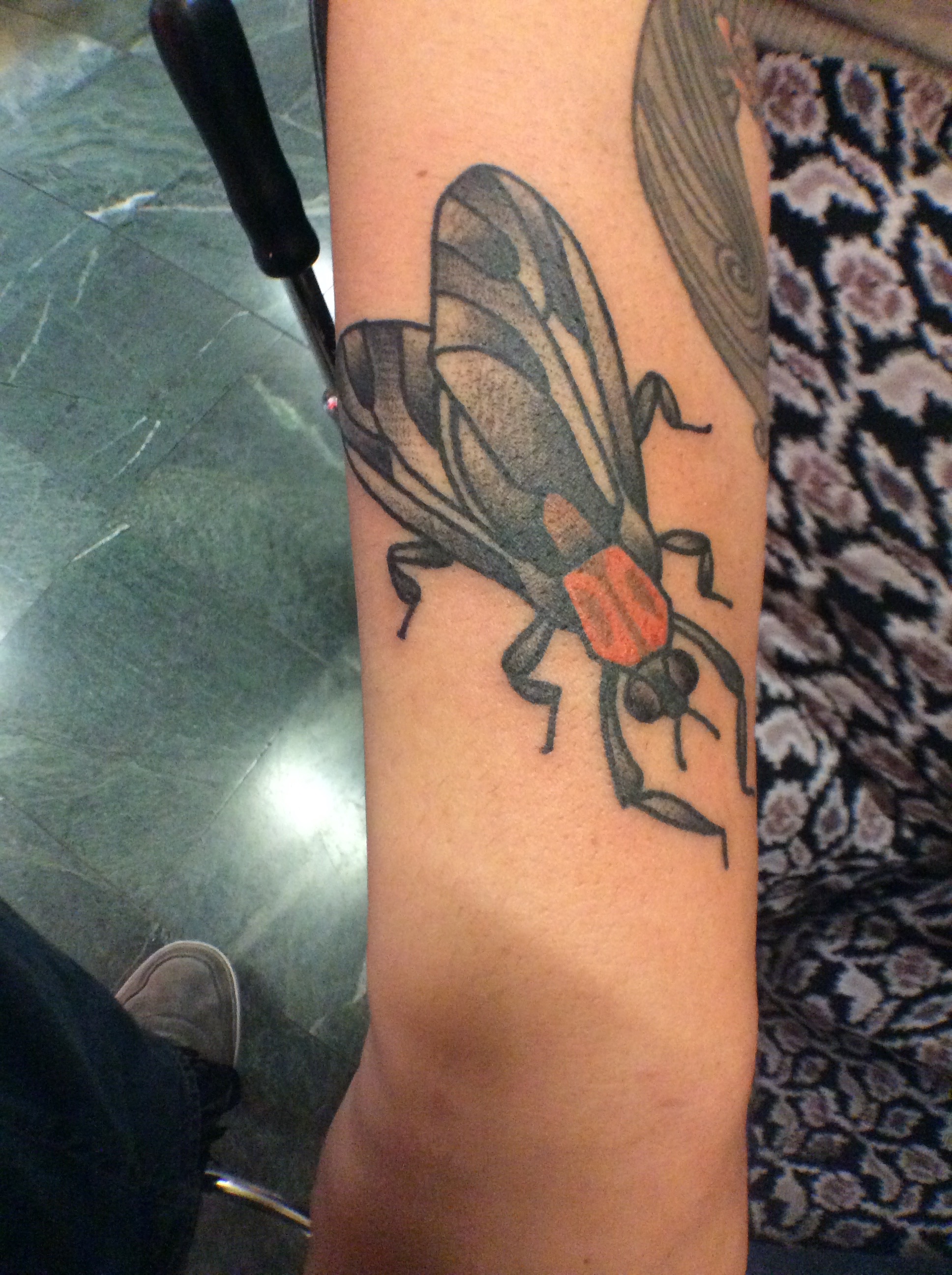 Tr_lovebug_tattoo.jpg