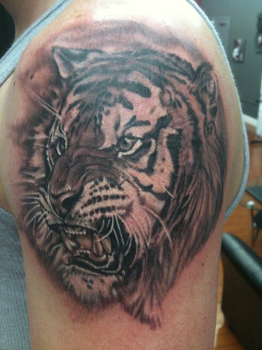 Black_and_grey_tattoo_tiger.jpg