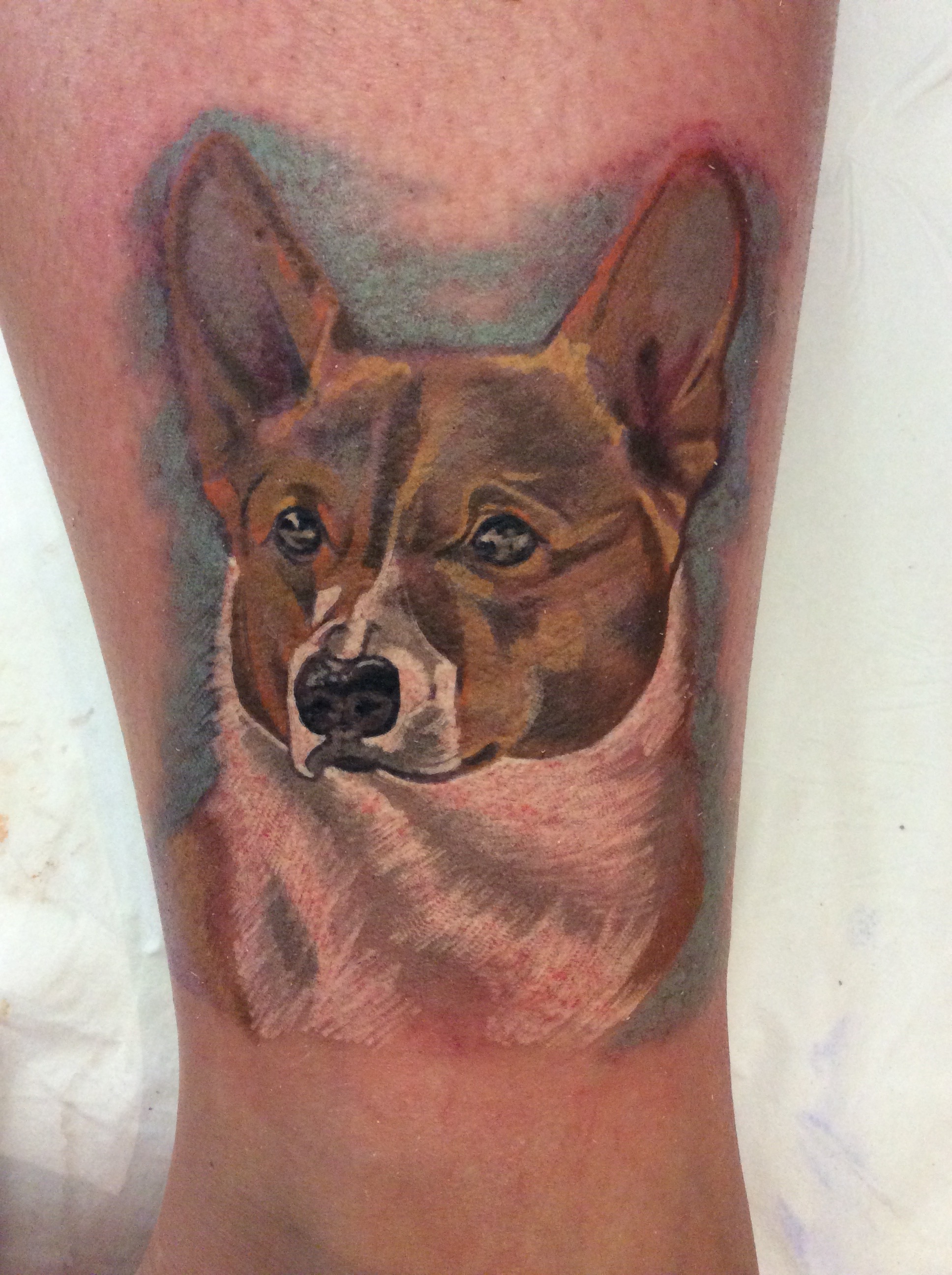 Corgie_dog_tattoo.jpg