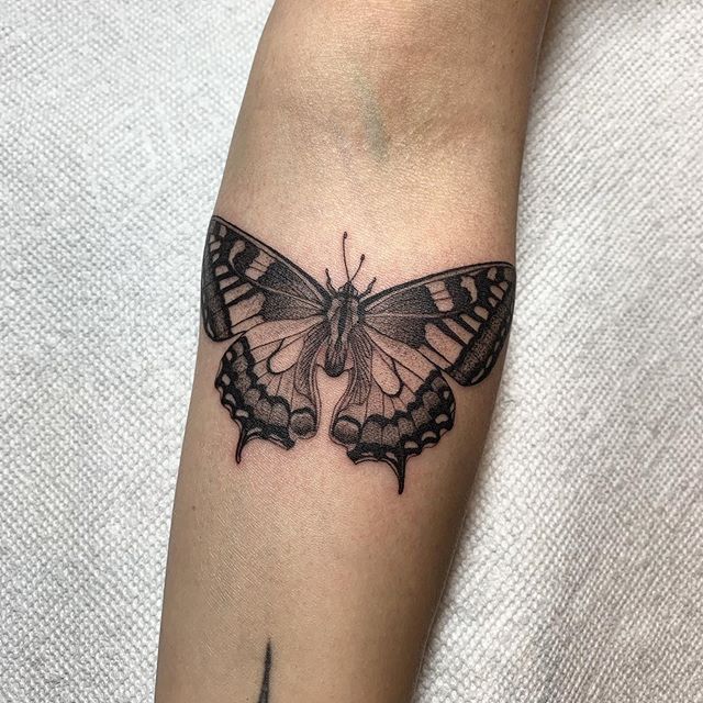 In remembrance of her Grandmothers affection for butterflies. Thank you @estrellita.pequenita .
.
.
#tattoo #tattooing #tattoos #fineline #finelinetattoo #butterflytattoo #butterfly #stippling #minneapolis #smalltattoo #losangeles #losangelestattoo #