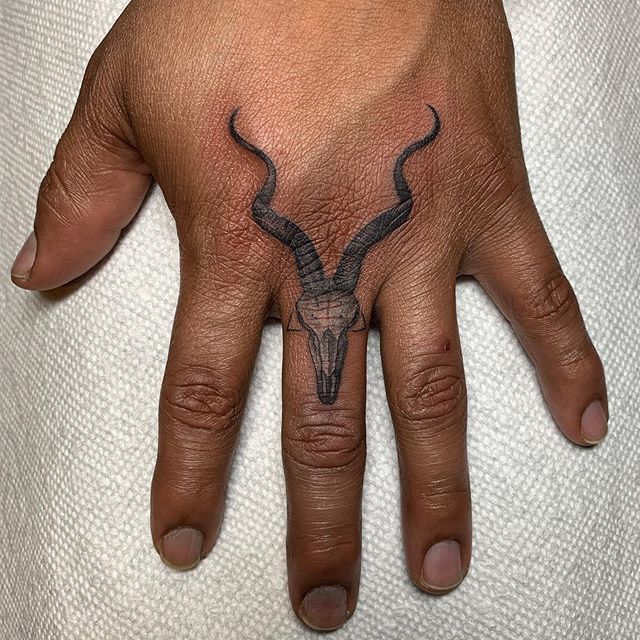 Kudu skull for @jsboelk done at #bodyelectrictattoo . .
.
.
#tattoo #tattooing #la #latattoo #latattooartist #losangeles #losangelestattoo #melrose #fineline #finelinetattoo #fingertattoo #kudu #smalltattoos #smalltattoo #tattoowork #tattooworker