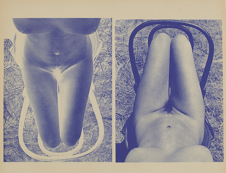 barbara-kasten-stages-and-diazotypes-launch-at-the-graham-foundation-5.gif.jpeg