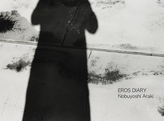 nobuyoshi-araki-eros-diary-36.gif.jpeg