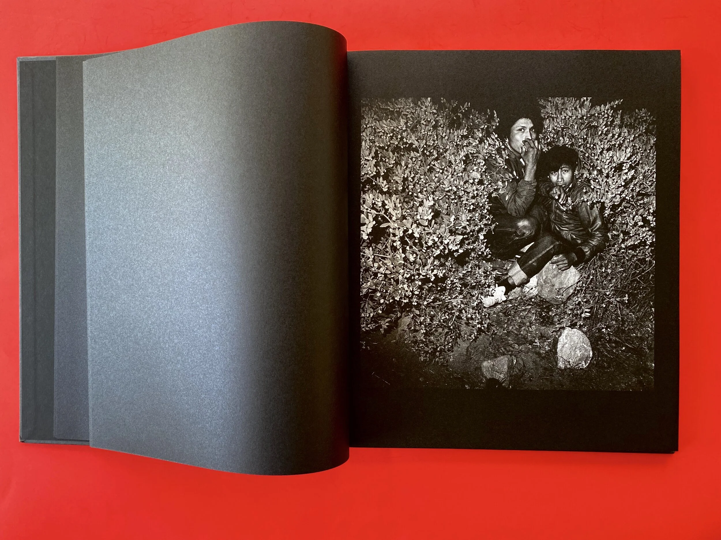 CCFBA679-B223-457B-B237-0405B0E3B22B