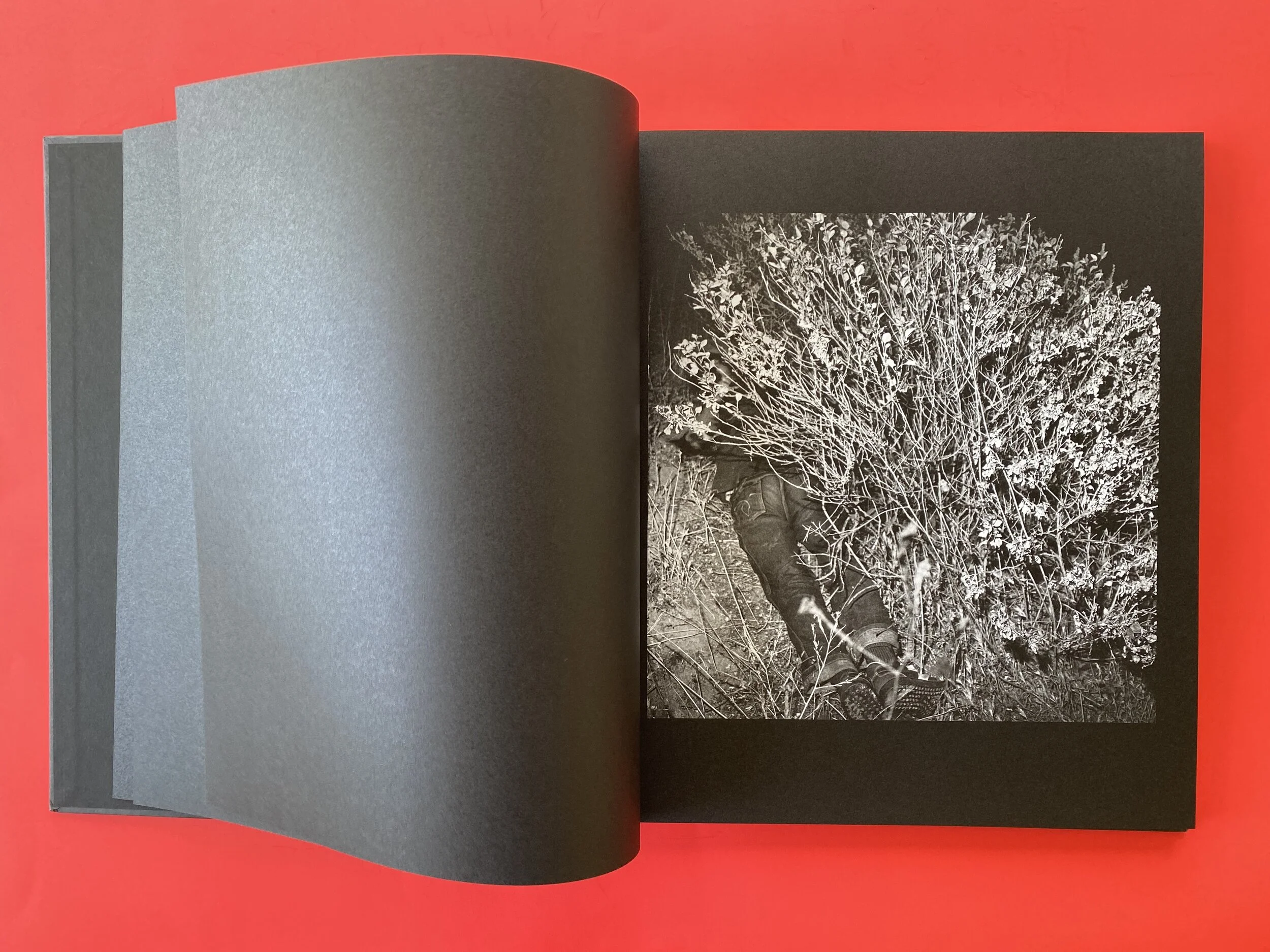 3FD59FD2-B5F2-4994-AB9C-0ED042527E90