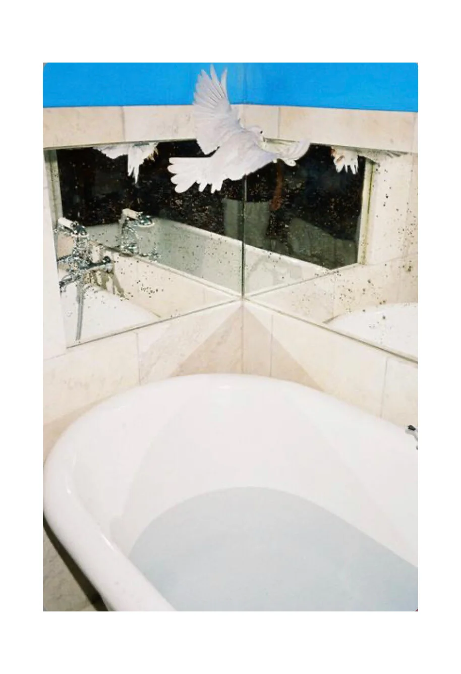 099C6E40-A7D5-4129-BDAA-8F5A6433A60A