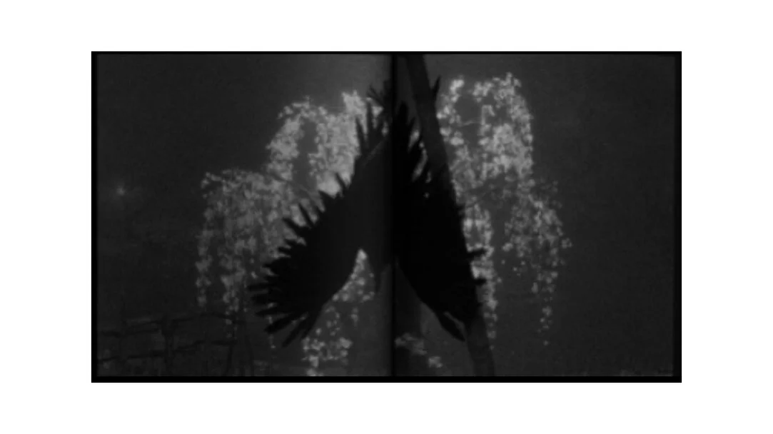 9D0CA556-A1A3-490C-A75A-C63CE78382D8