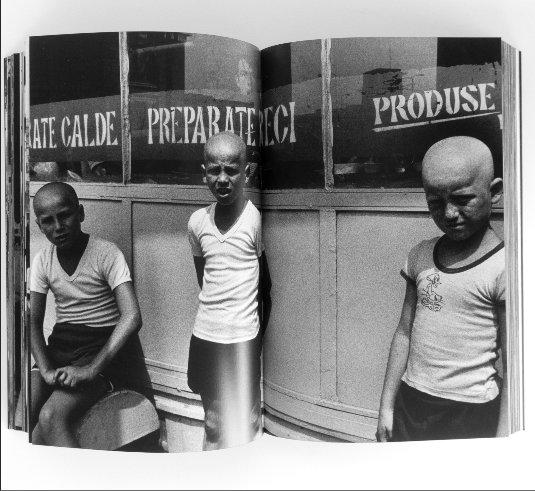 3F8D28B7-E8EC-426D-A499-5D93E0082D2E