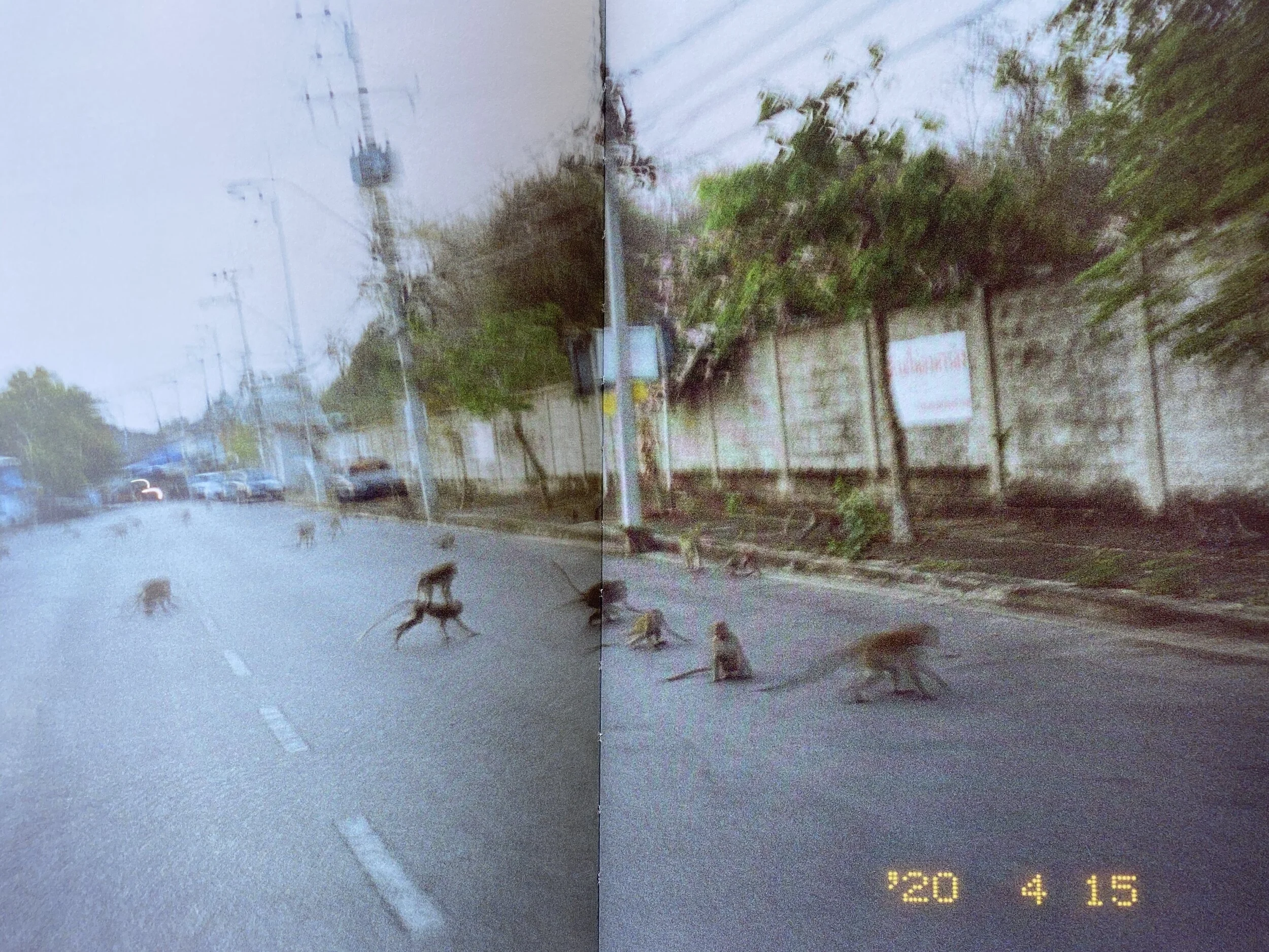 130FBE45-7FA5-4723-9CC2-AC3B27F056DA