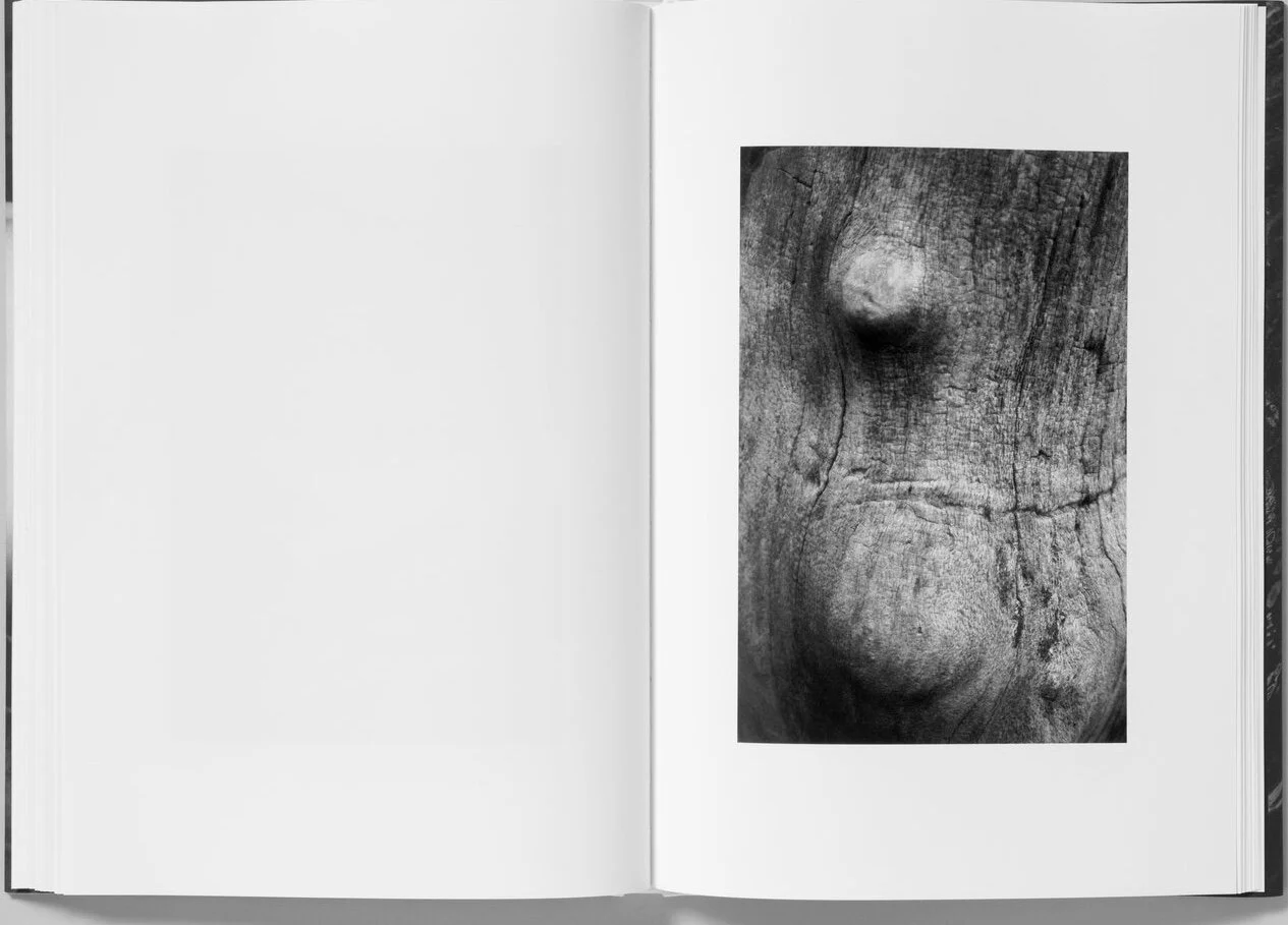 EB59225C-3E26-4A63-A71F-14B7157D7494