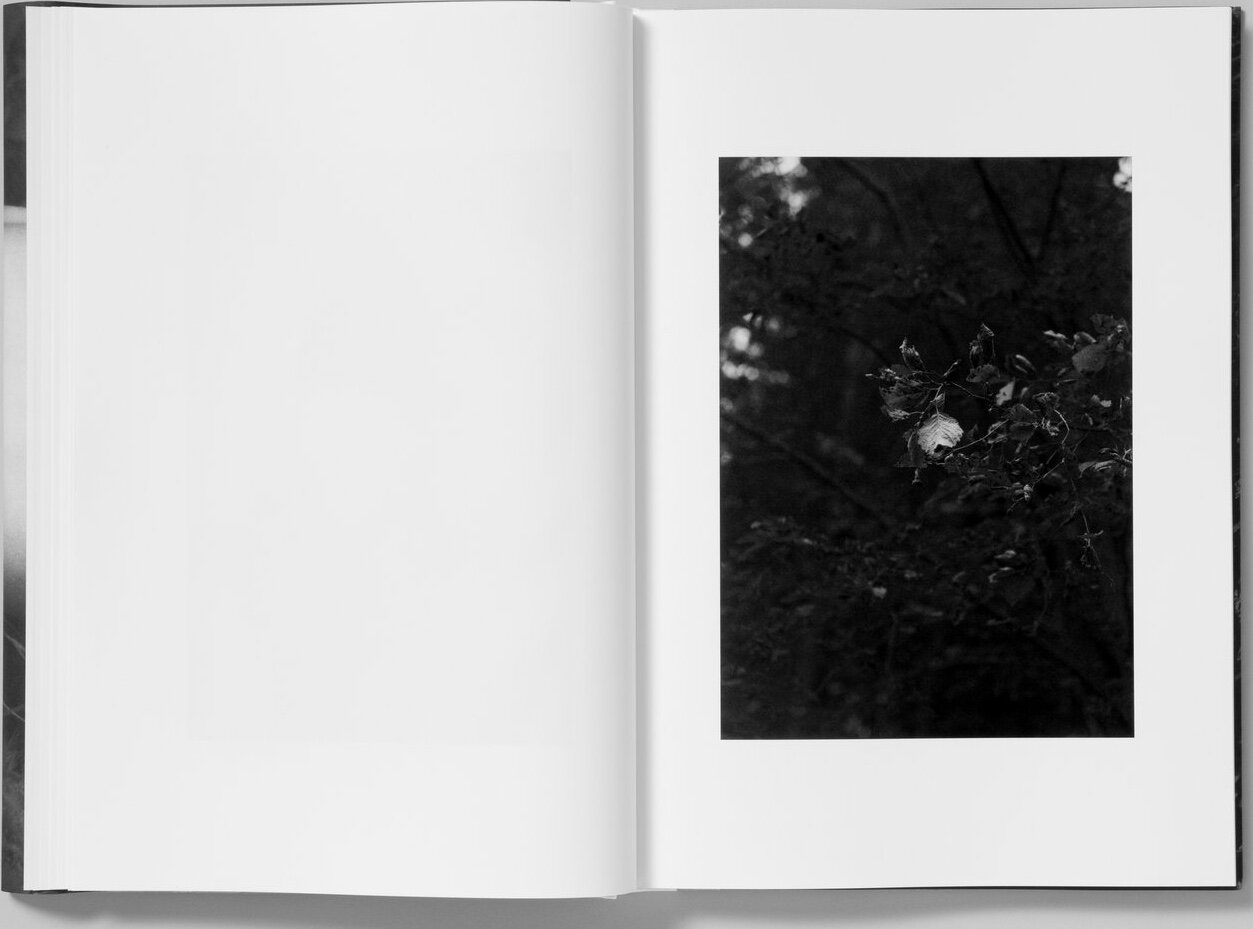 254078EA-3622-48D5-864B-8409529BD60E