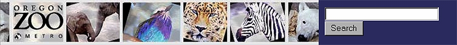 Masthead designed for Oregon Zoo during an internship. It was used on the website for several years.