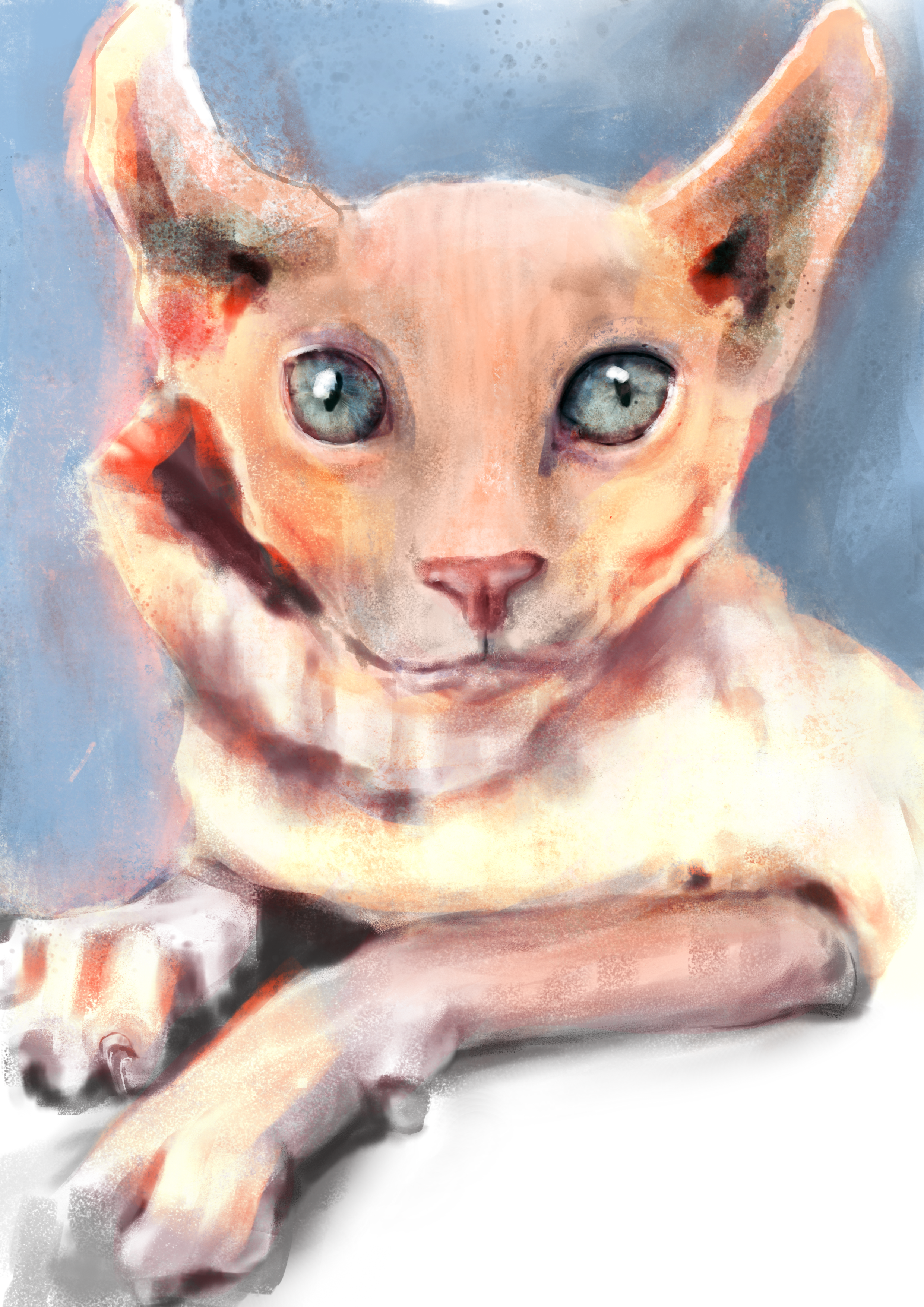 Untitled_Artwork 11.png