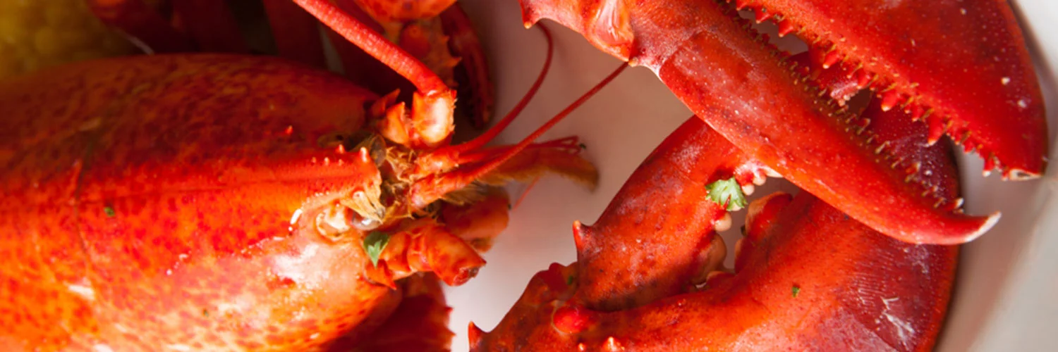 slide_lobster.jpg